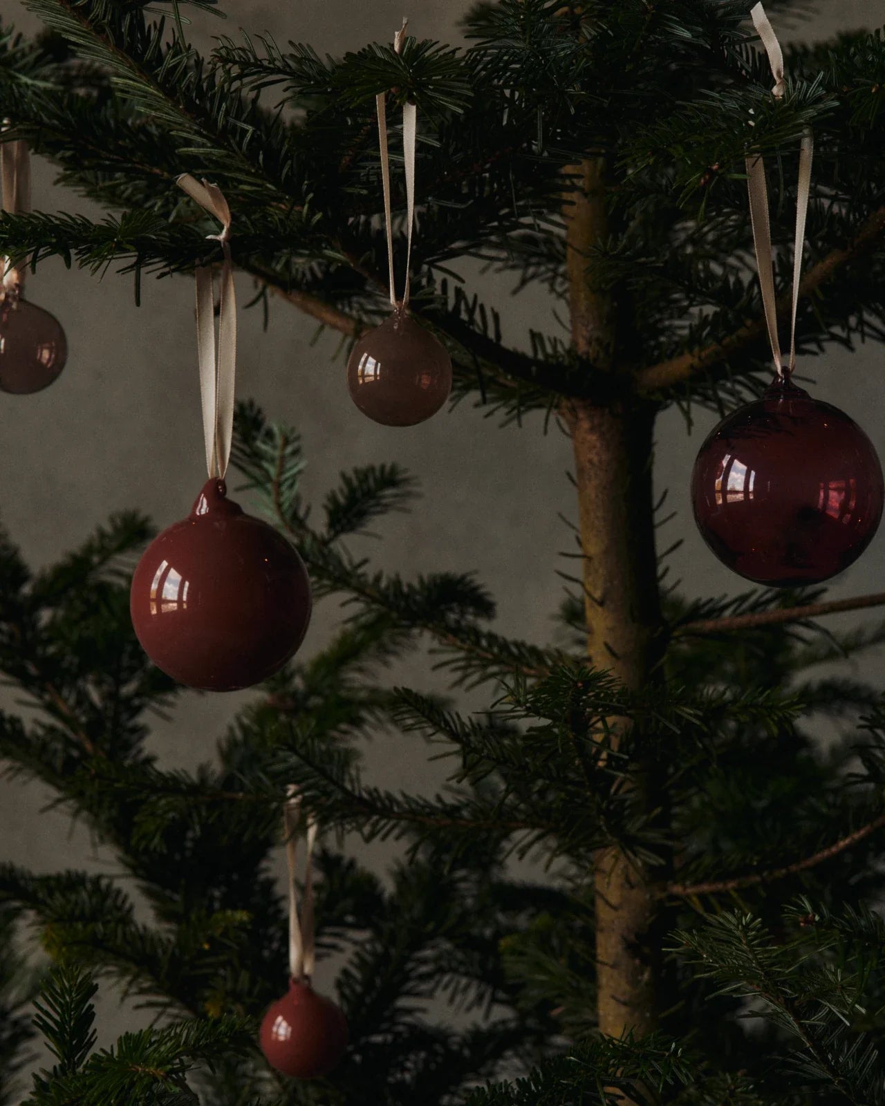 Christmas decorations : A series of glass festive baubles in various sizes and colours hanging from a single branch against a beige wall