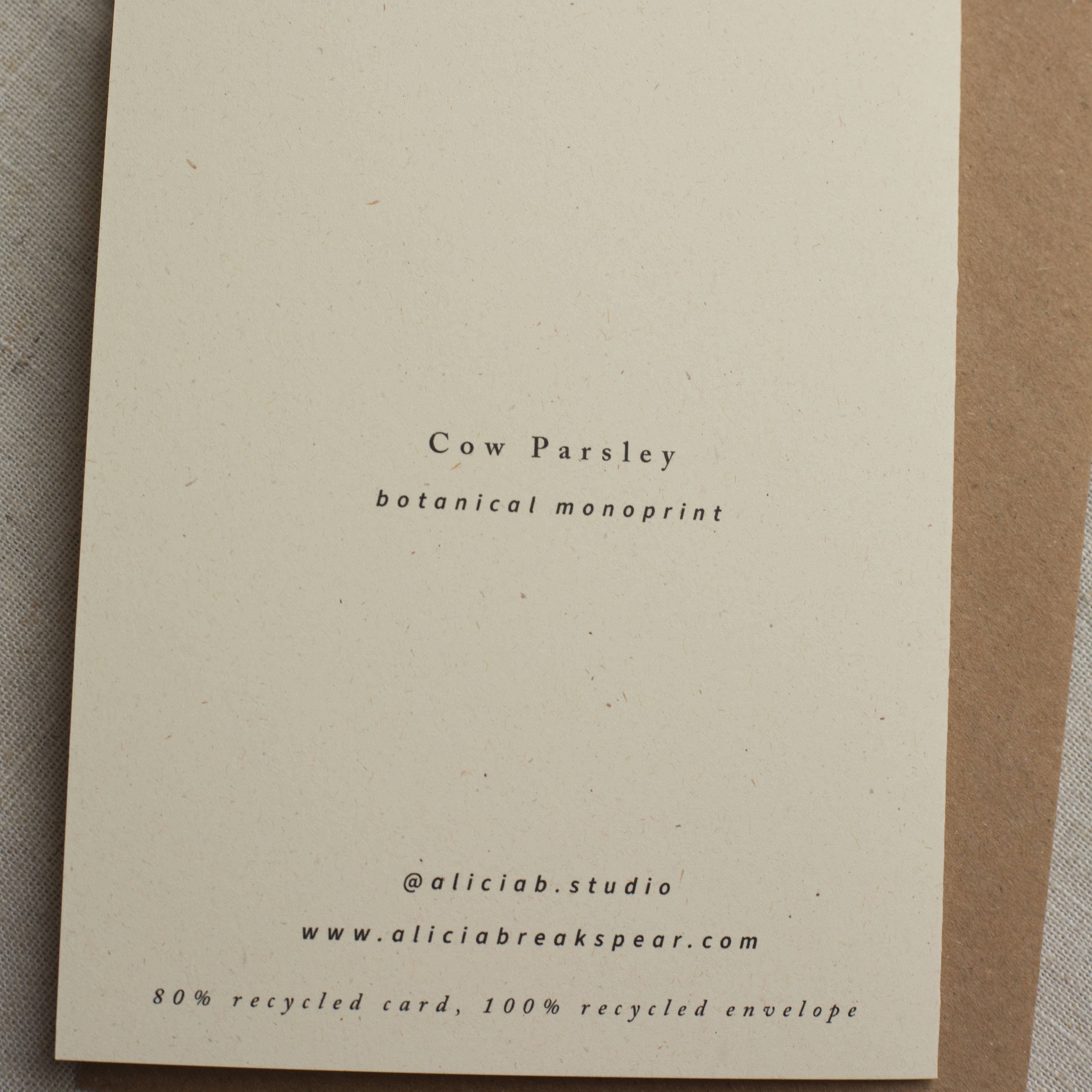 Cow Parsley Botanical Monoprint Card by Alicia Breakspear - Lifestory