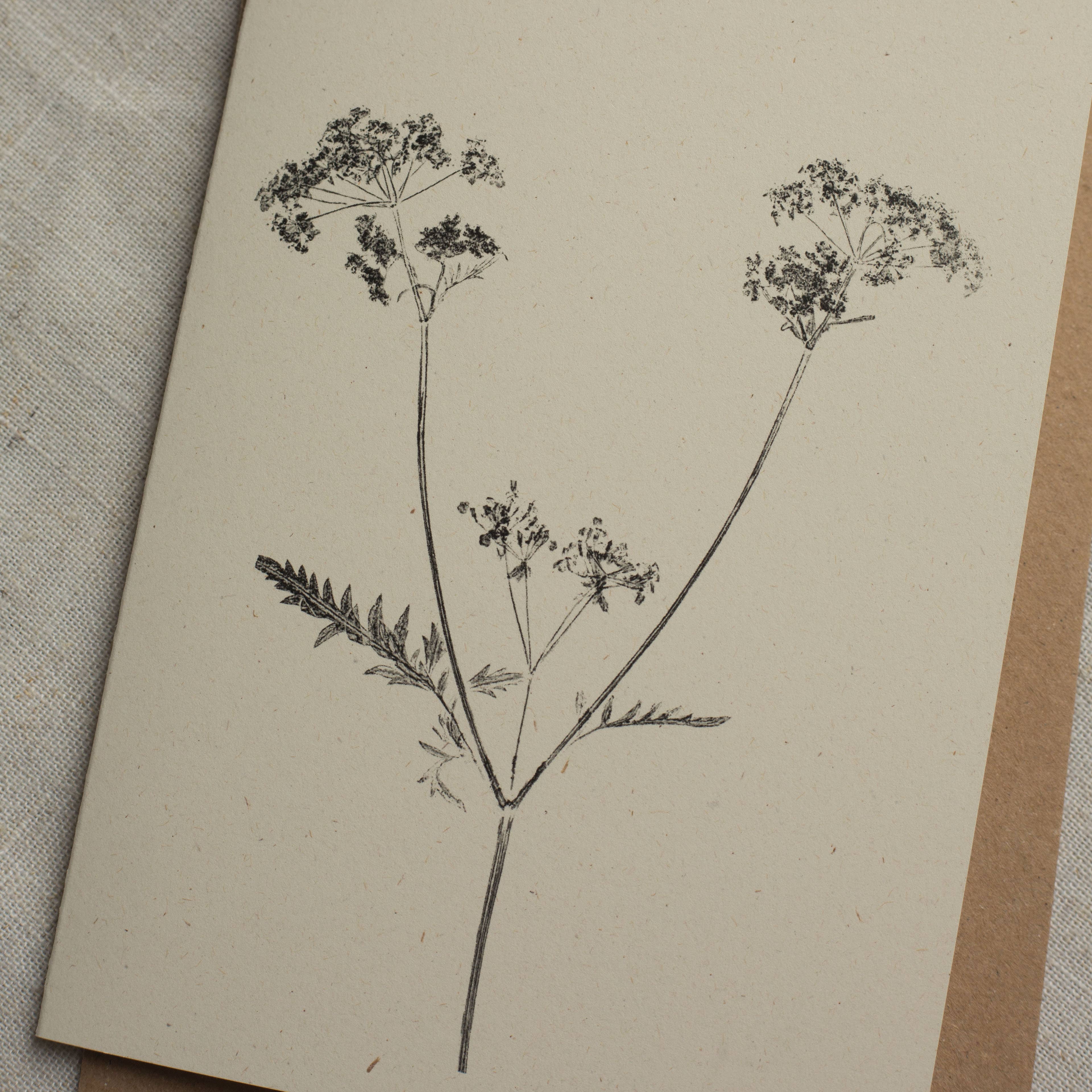 Cow Parsley Botanical Monoprint Card by Alicia Breakspear - Lifestory