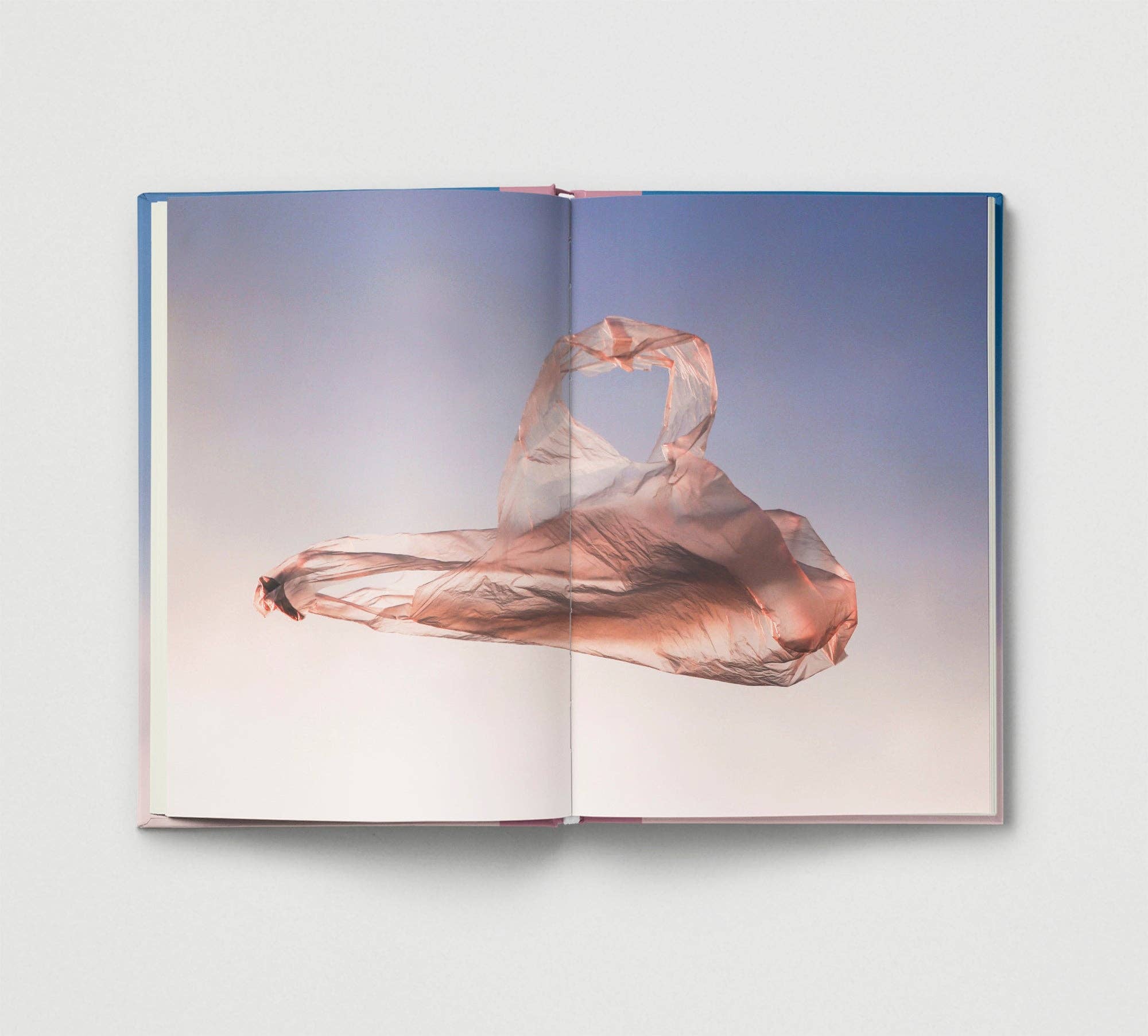 Everyday Wonder | Compilation Book
