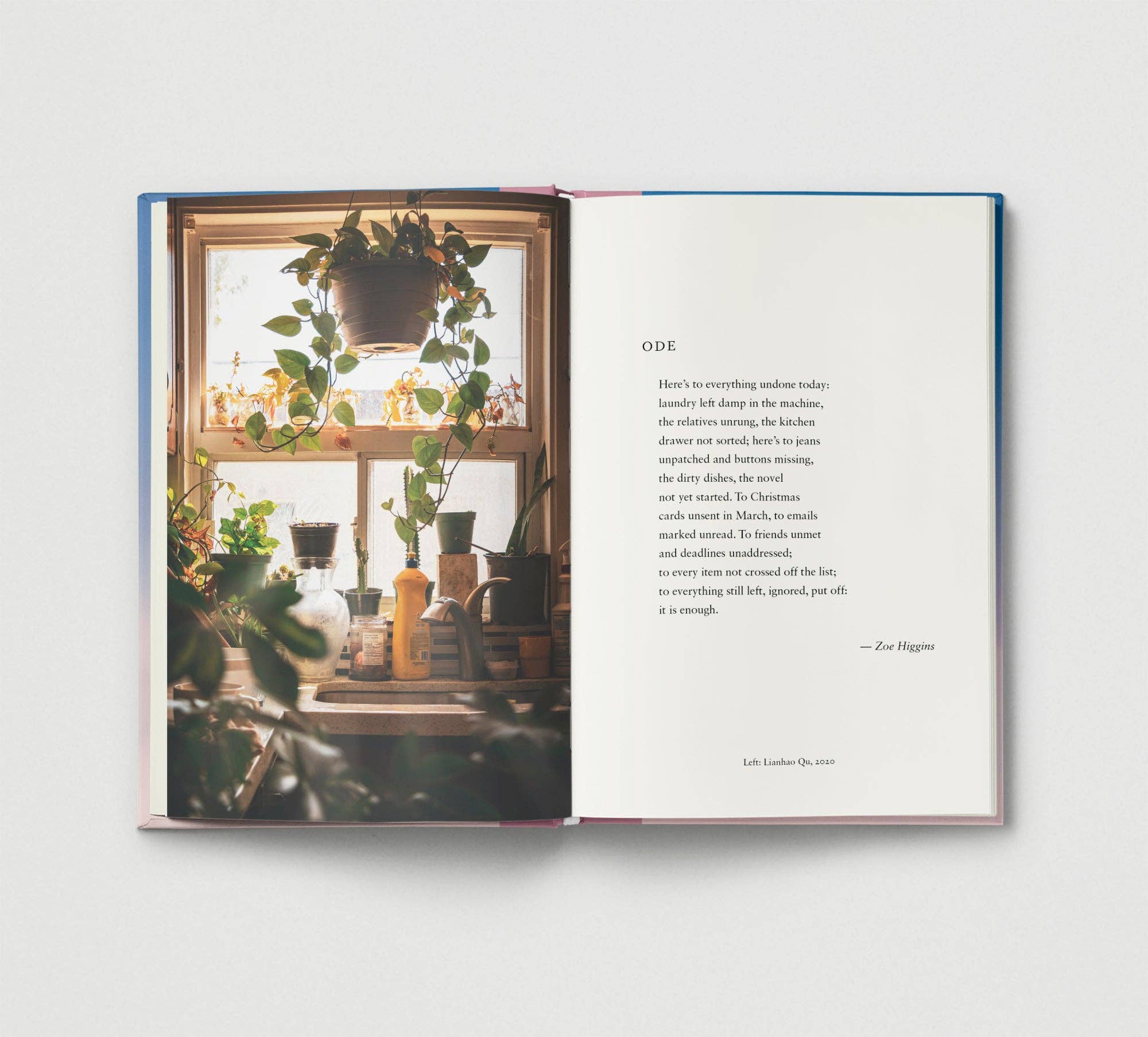 Everyday Wonder | Compilation Book