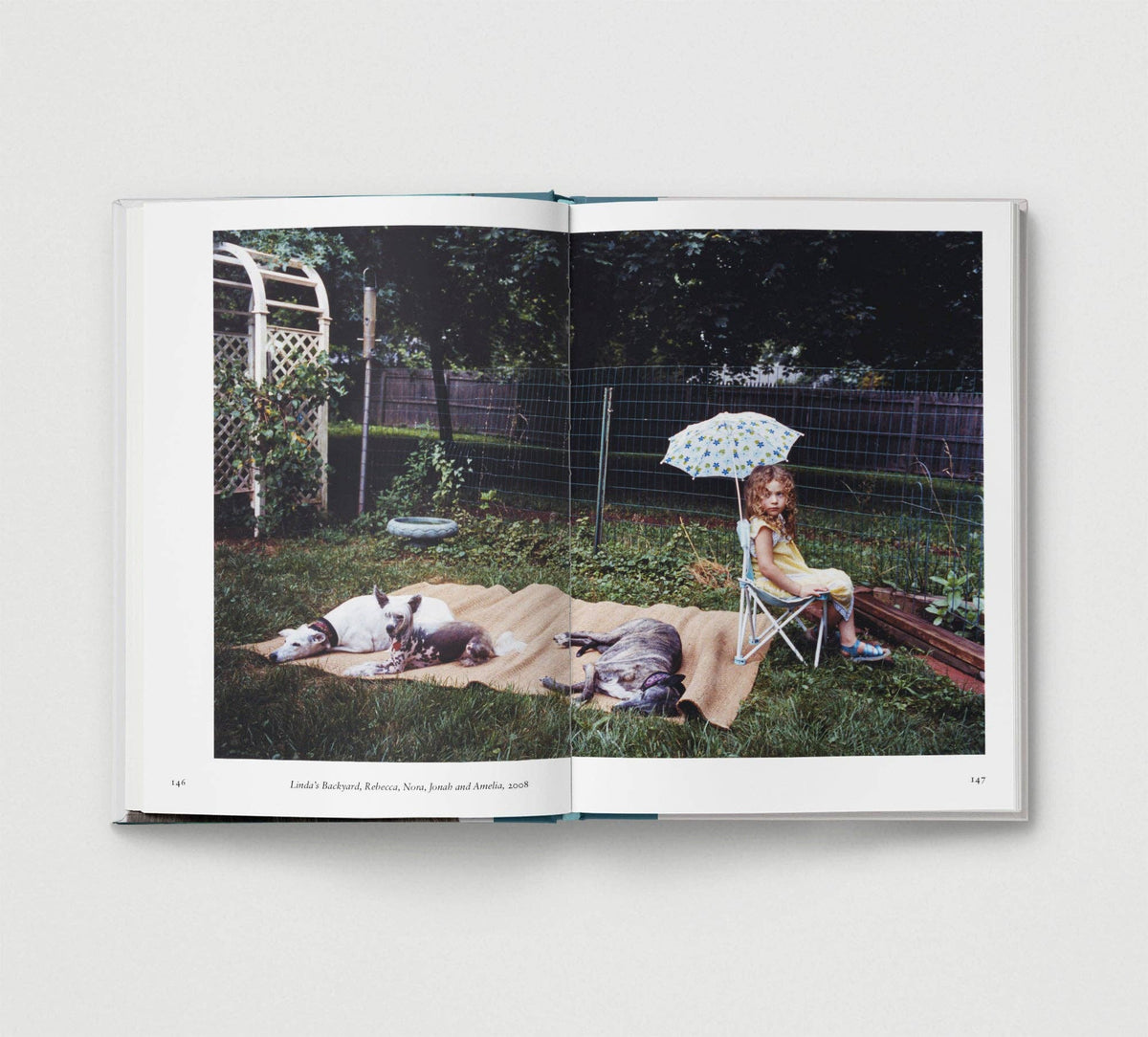 Dog. | Portrait Compilation Book
