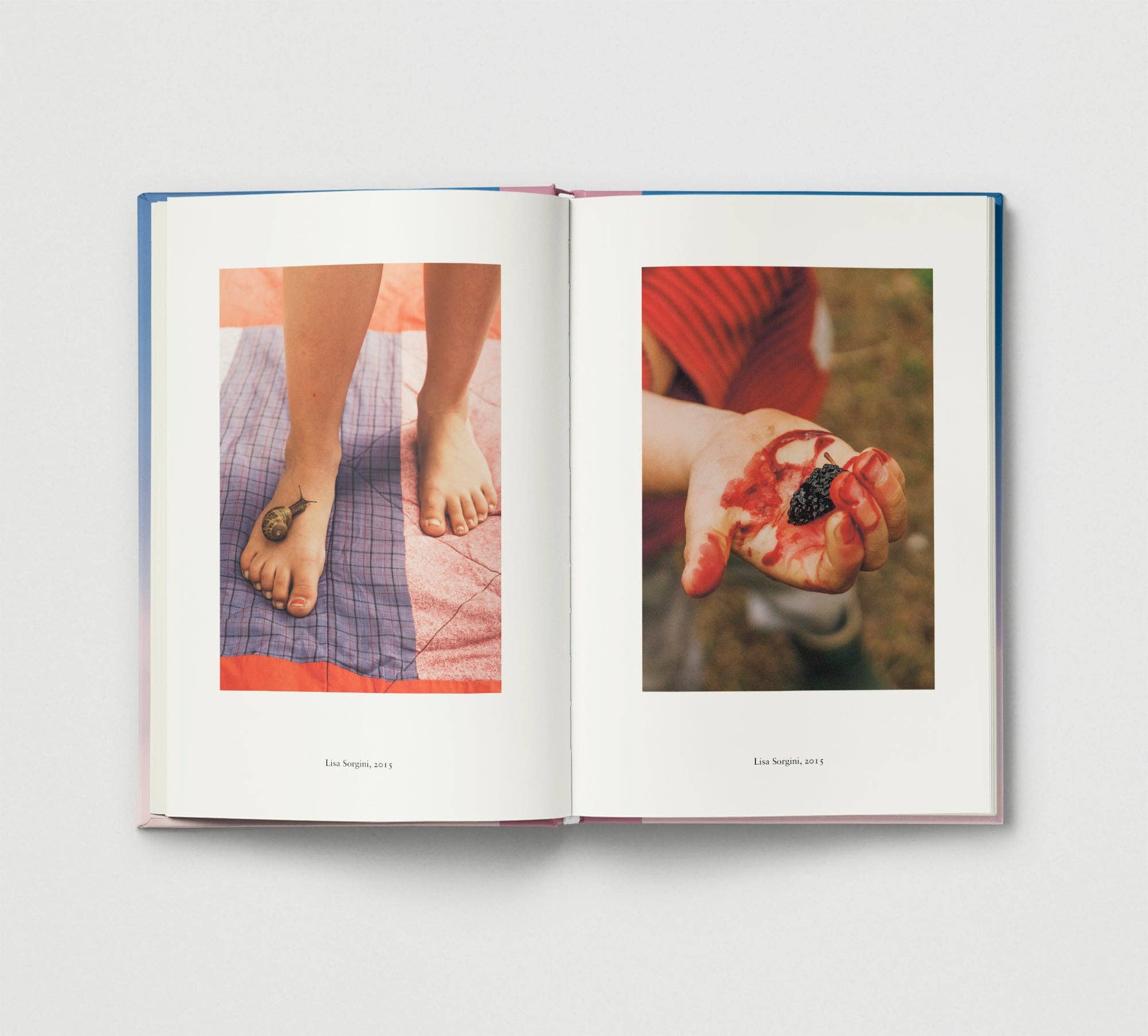 Everyday Wonder | Compilation Book