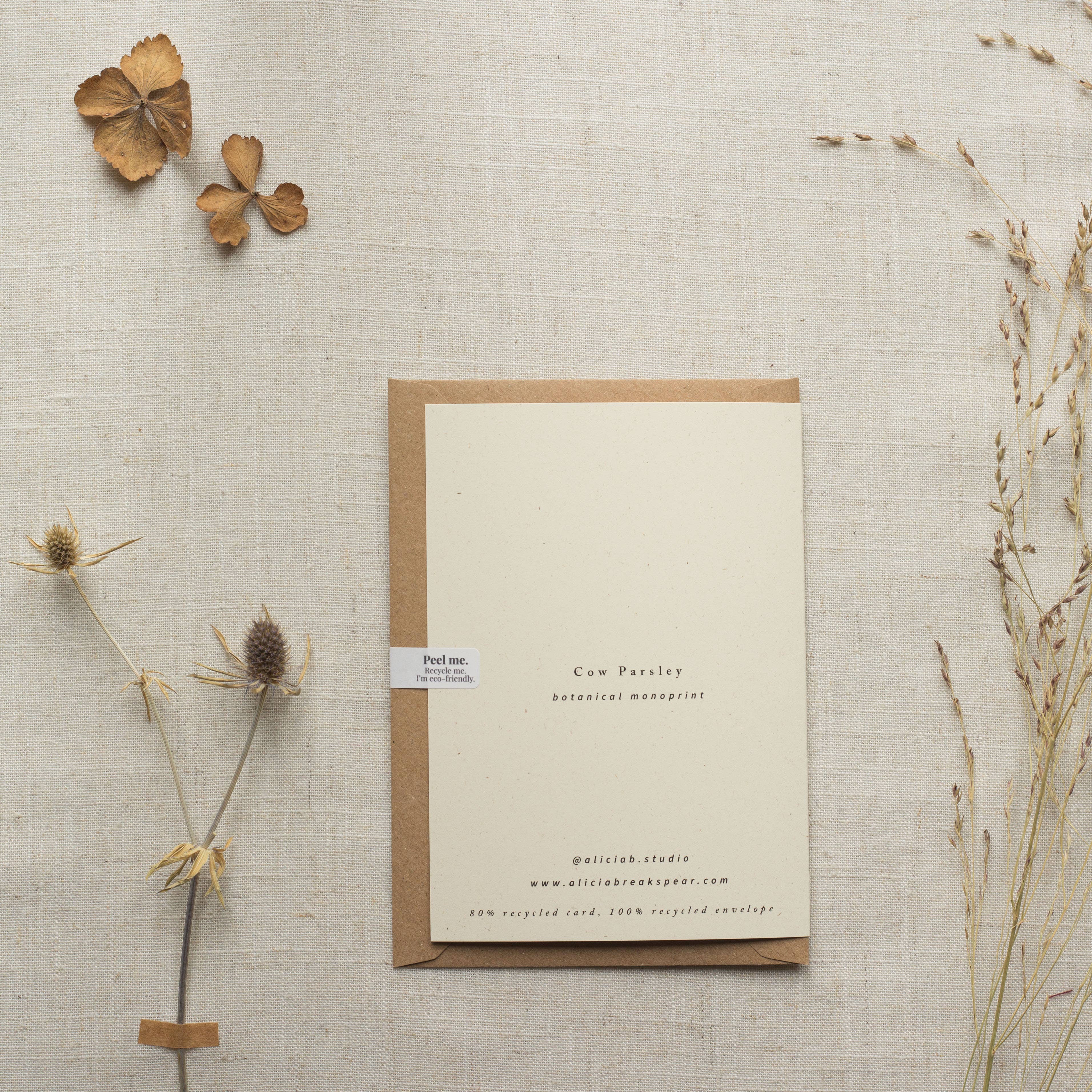 Cow Parsley Botanical Monoprint Card by Alicia Breakspear - Lifestory