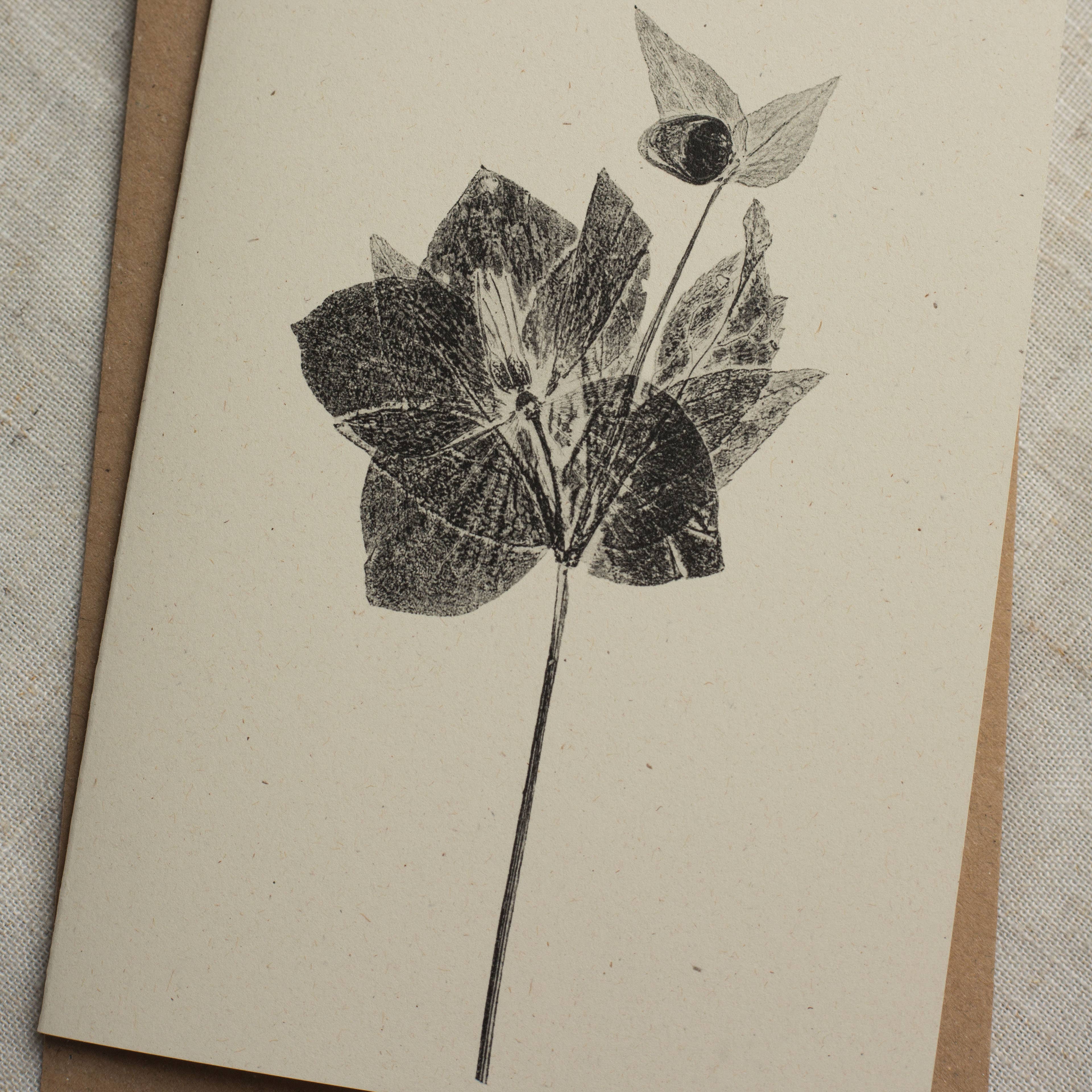 Hellebore Botanical Monoprint Card by Alicia Breakspear - Lifestory