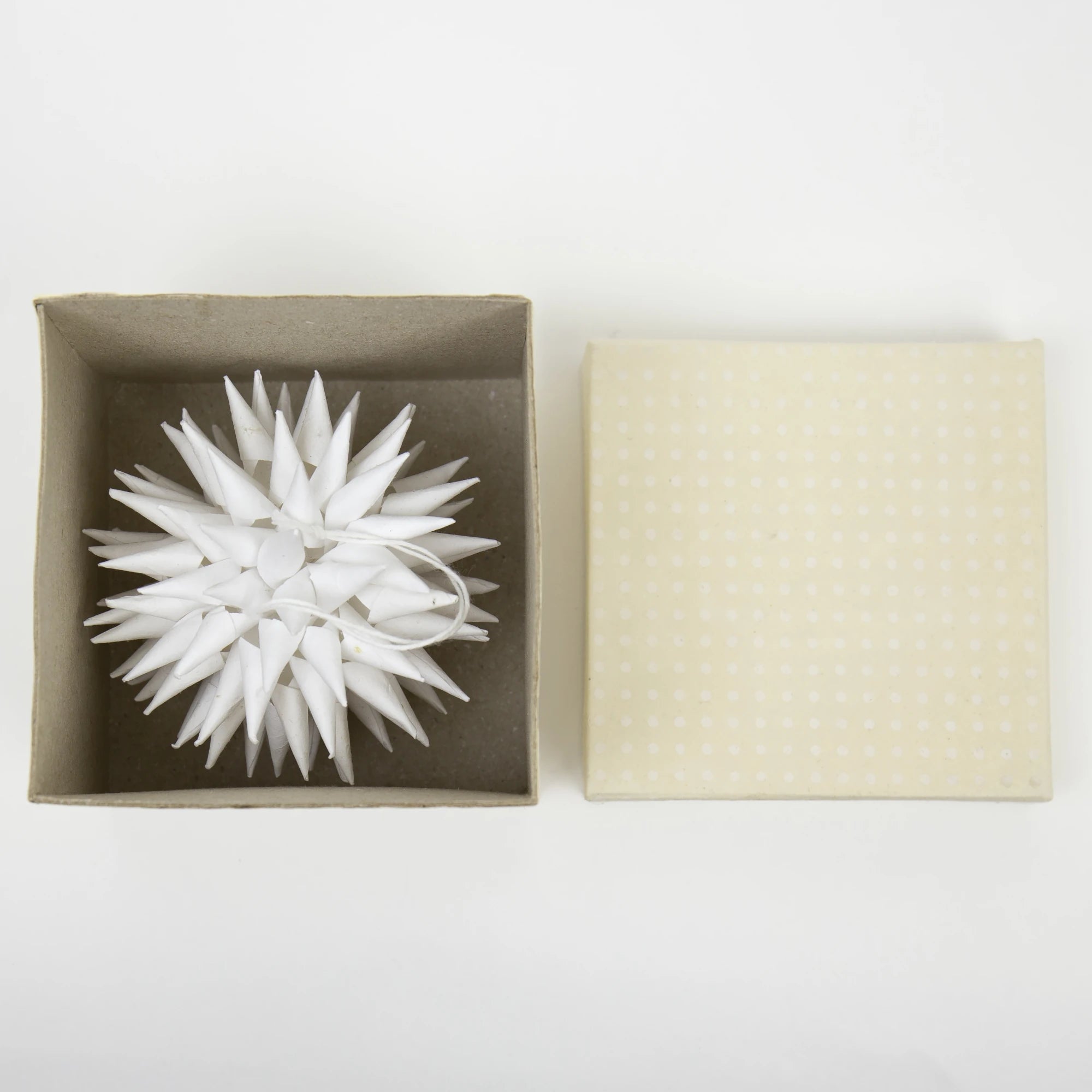 Kotte White Paper Hanging Ornament - Lifestory