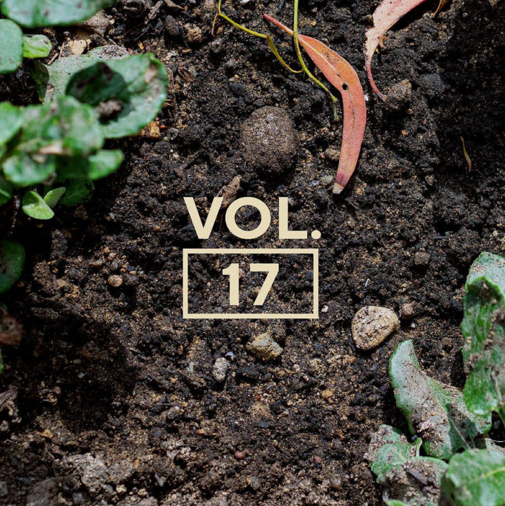 Limited Ed. Blackwing Vol.17 - The Gardening Pencil - Box of 12 | Balanced Graphite with Eraser - Lifestory