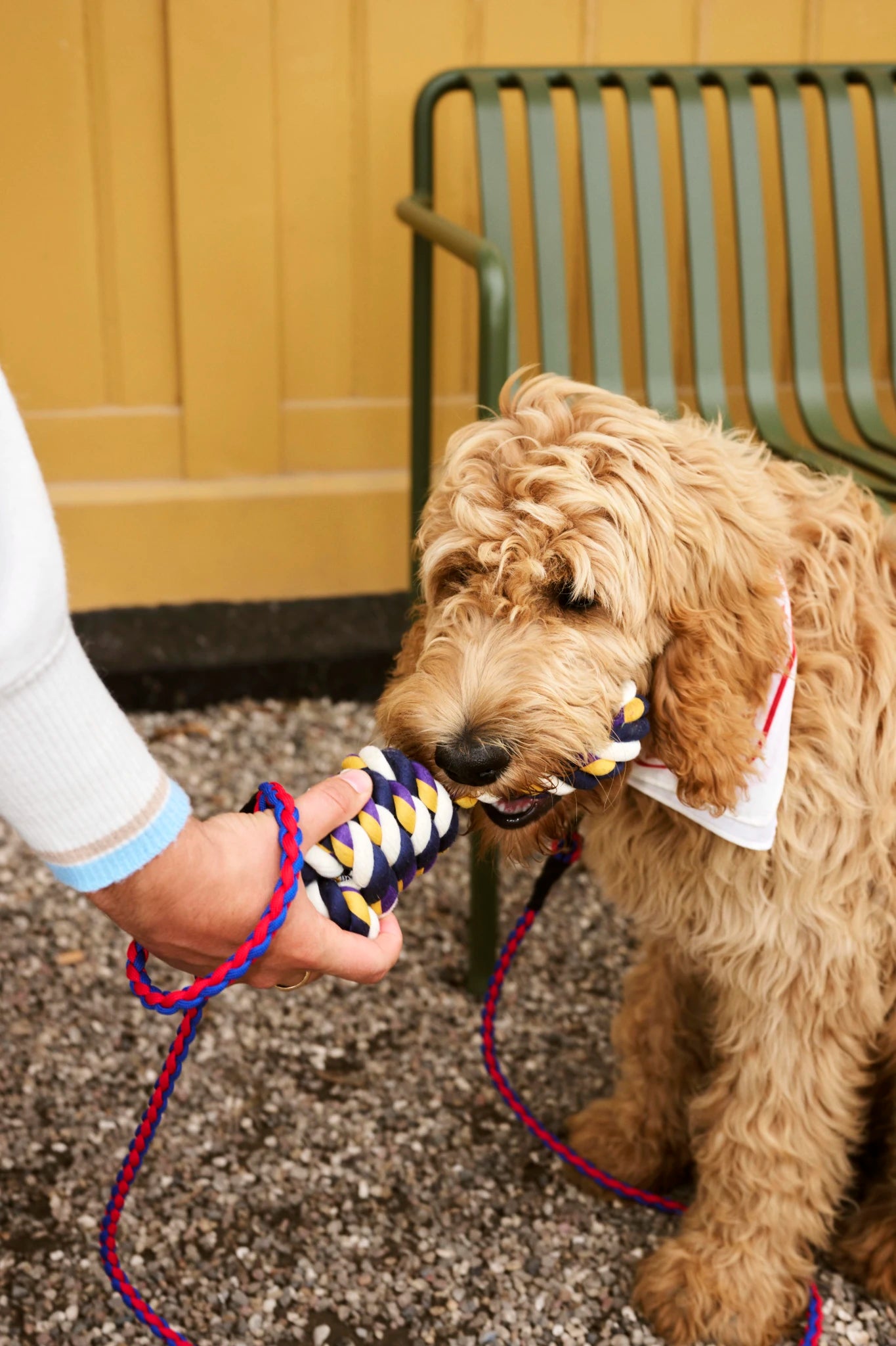 Dogs Rope Toy | Red, Turquoise, Off White | by HAY - Lifestory