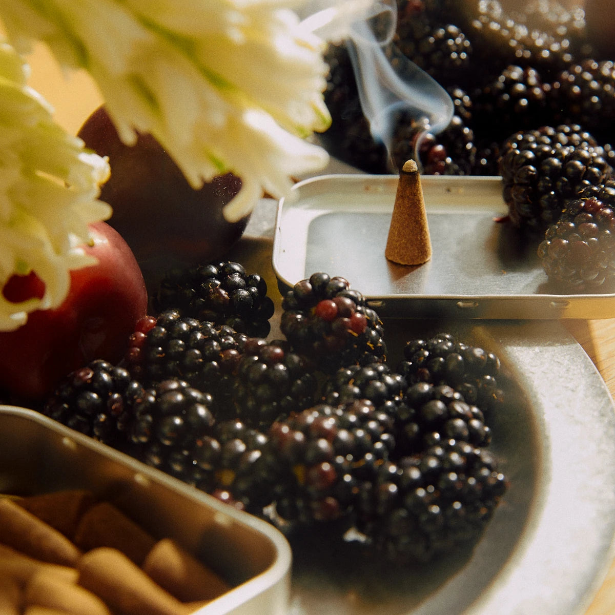 Incense Cones | Jardin De La Lune | by Earl of East - Lifestory