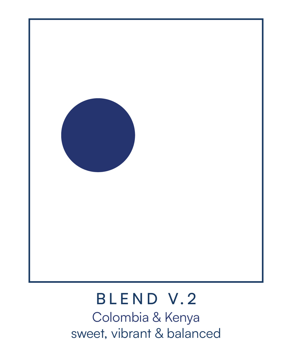 Fortitude 250g Bag of Blend V.2 - Colombia & Kenya (Washed) GROUND FILTER