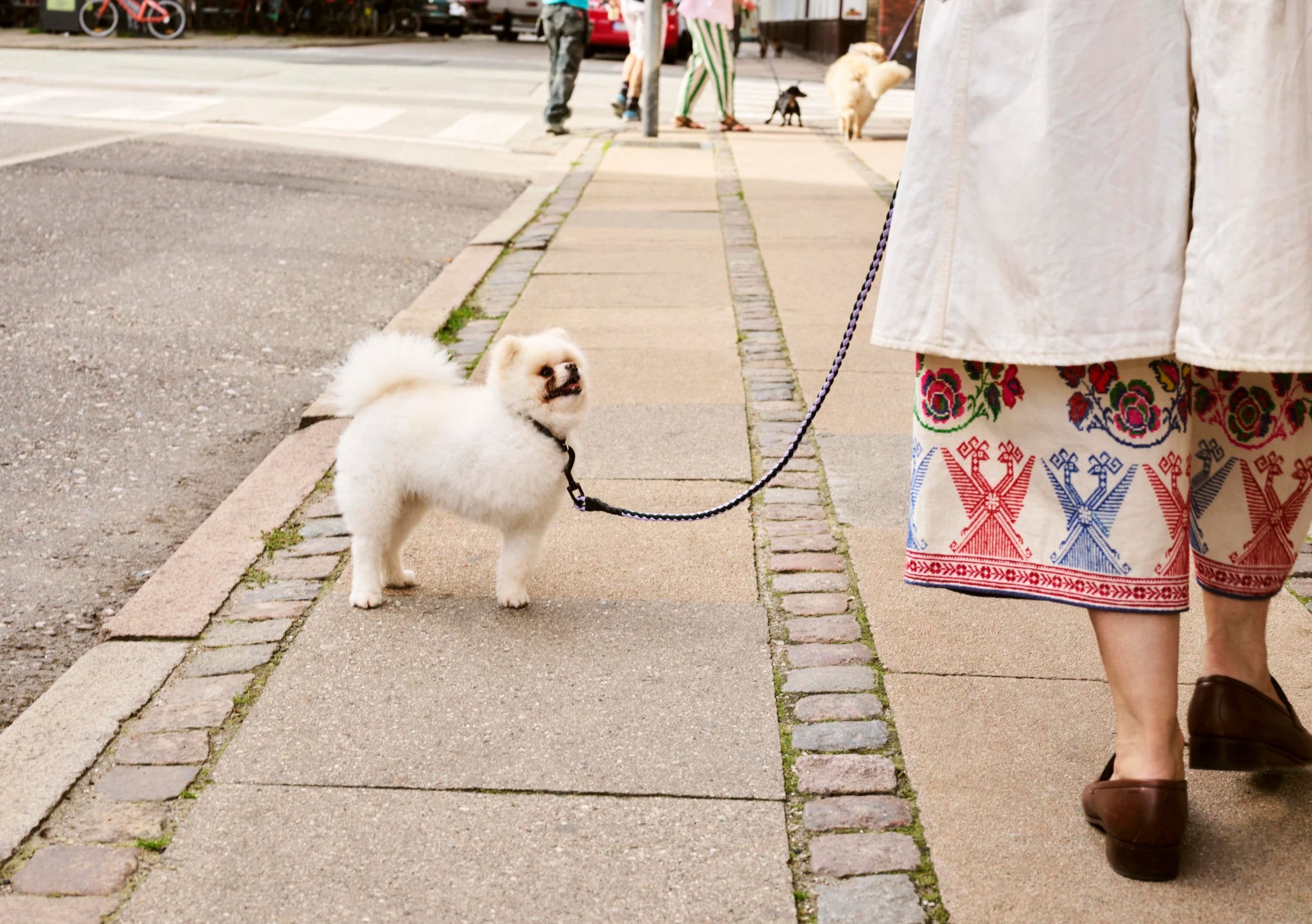 Dog Collar - Flat | by HAY - Lifestory