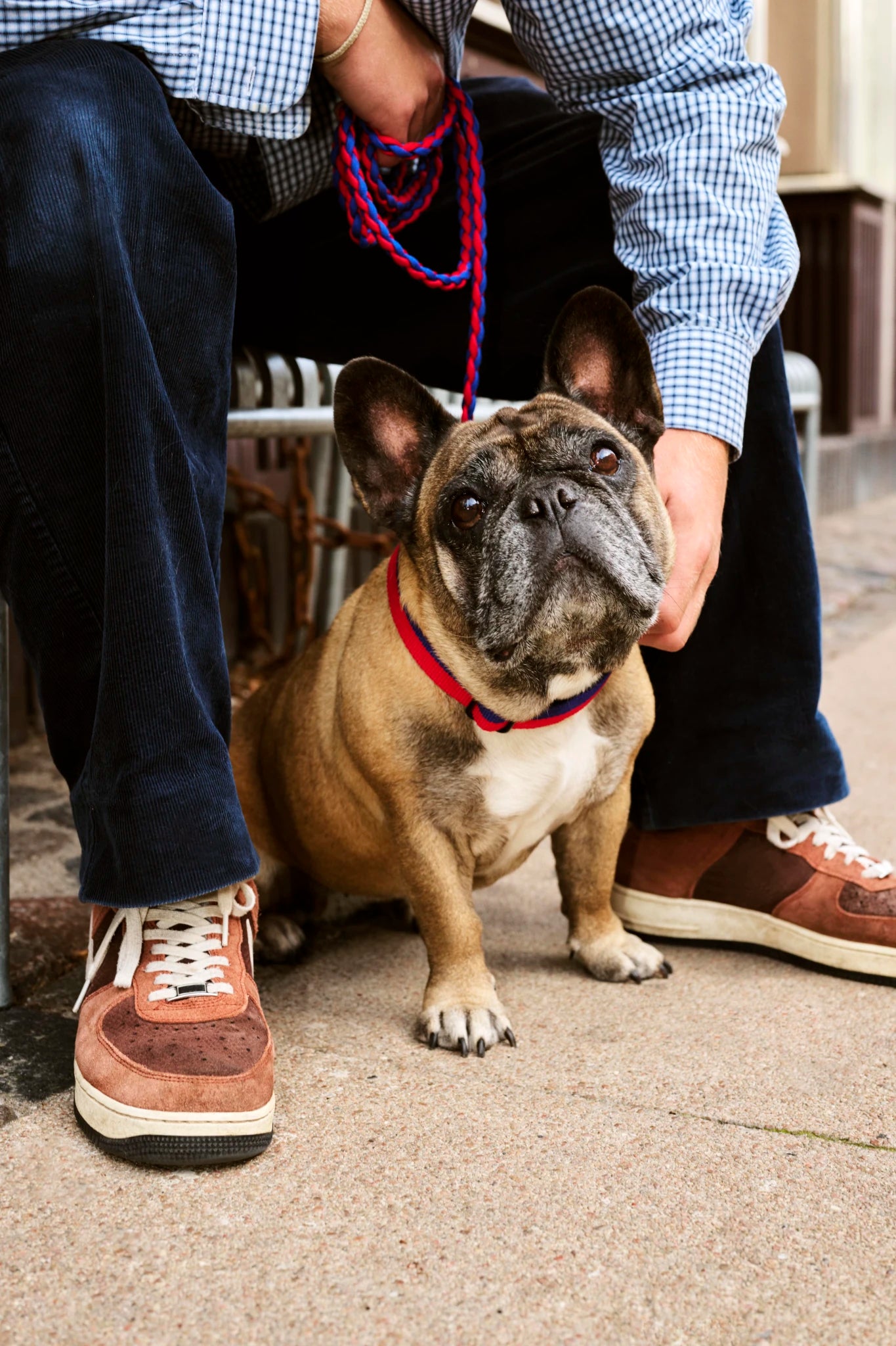 Dog Leash - Braided | by HAY - Lifestory