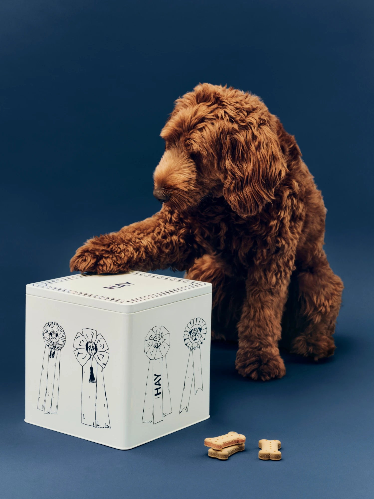 HAY Dogs Large Dog Food Storage Tin - Lifestory