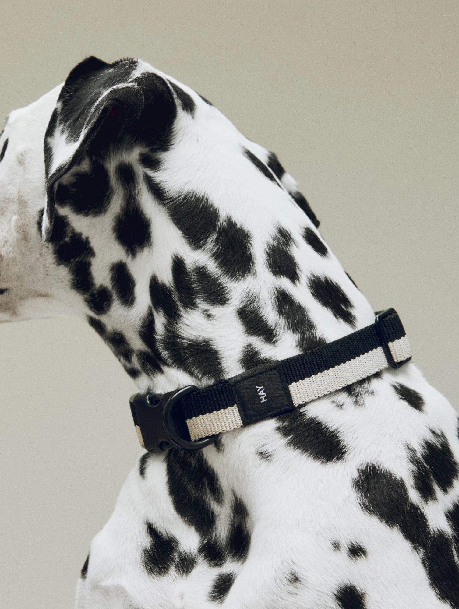 Dog Collar - Flat | by HAY