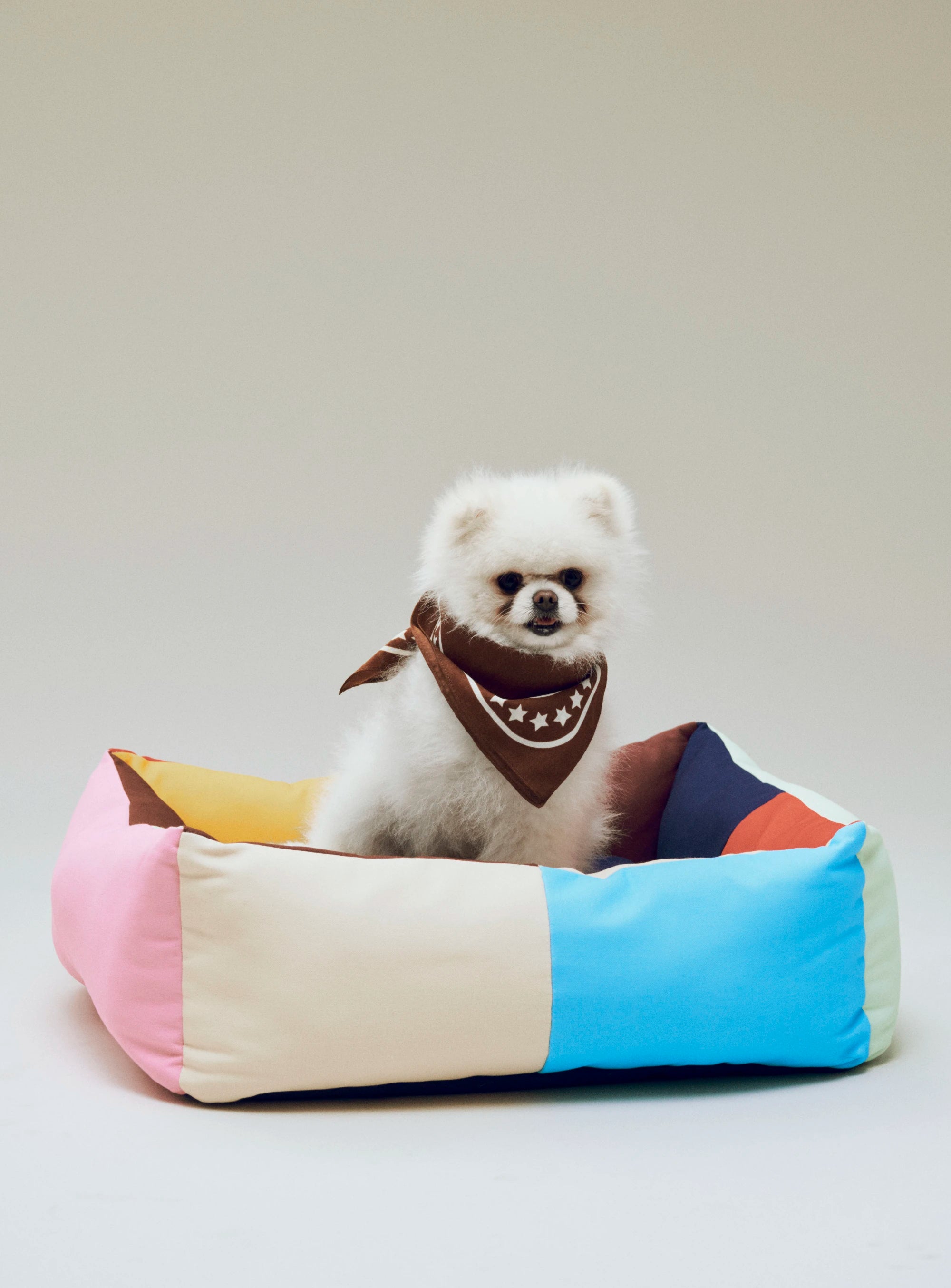 HAY Recycled Cotton Dogs Scarf in Various Colours - Lifestory