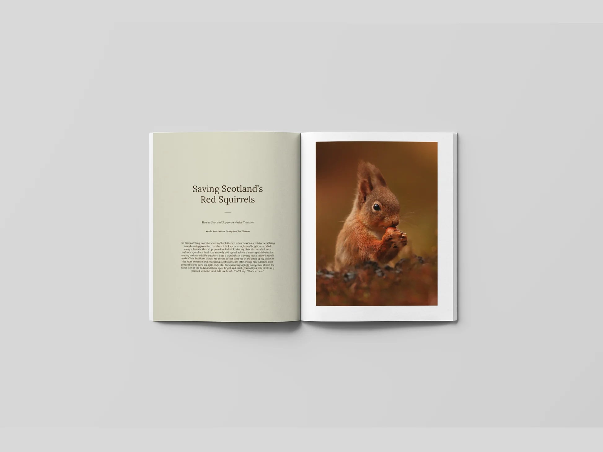 Hidden Scotland Magazine | Issue 11
