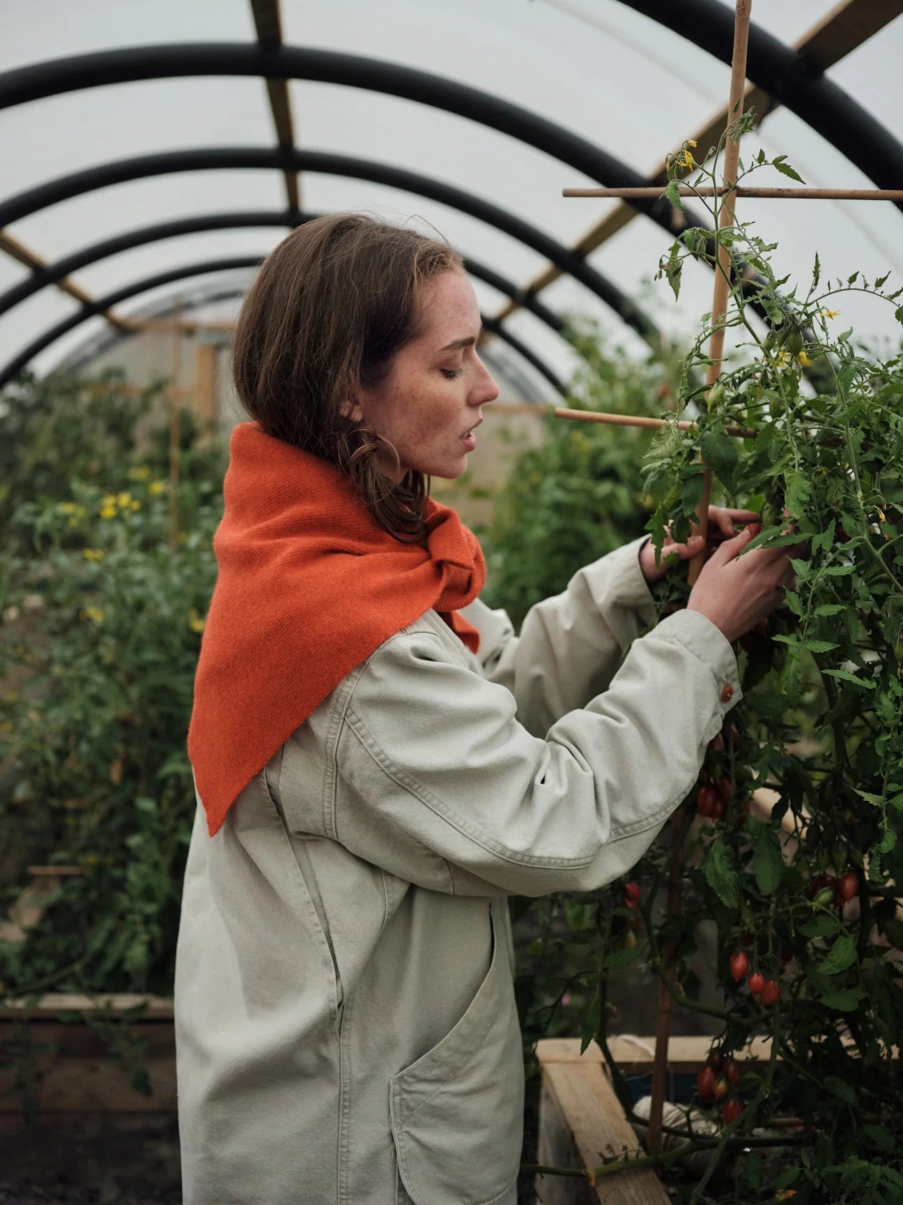 Hilary Grant Lambswool Swift Tail Scarf in Various Colours - Lifestory