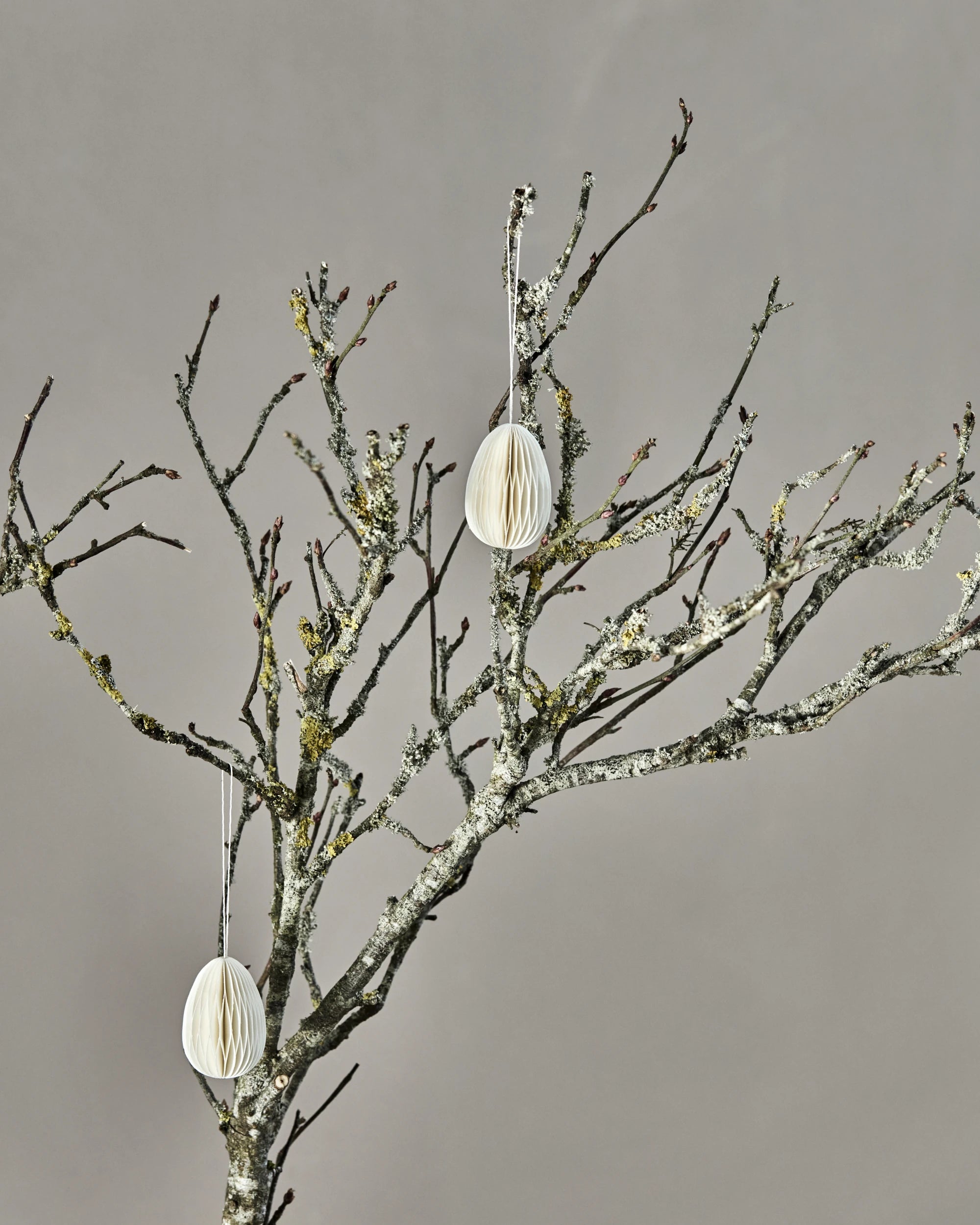 Decorative branches with hanging white egg-shaped ornaments on a plain background