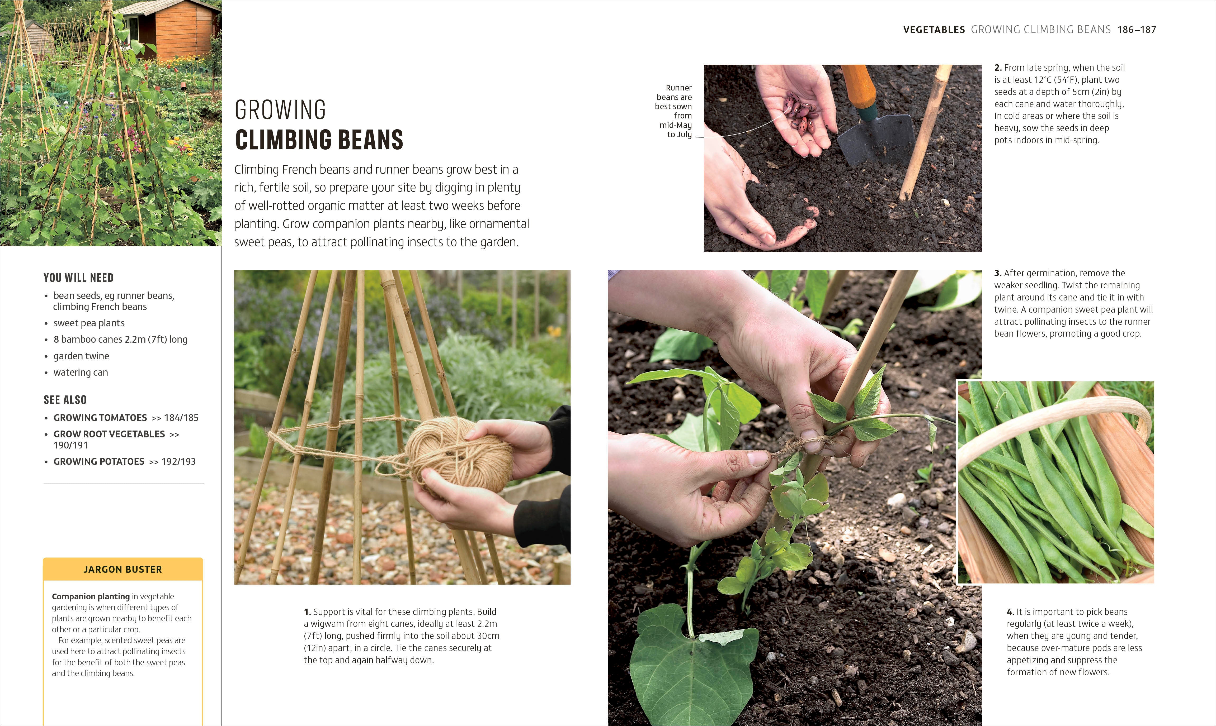 How To Garden When You're New To Gardening (RHS)| Book - Lifestory