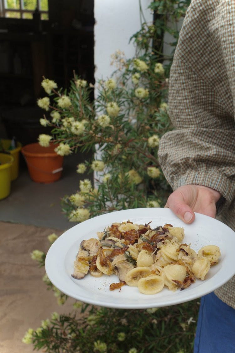 Vegetable Recipes by Jess Elliott Dennison
