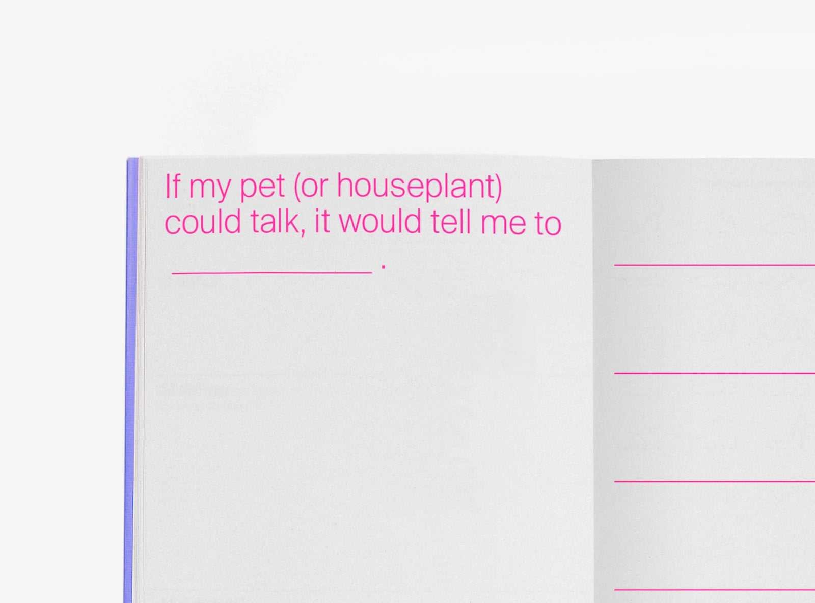 Julie Joliat Day One to One Day Planner 2026 inside detail | Lifestory