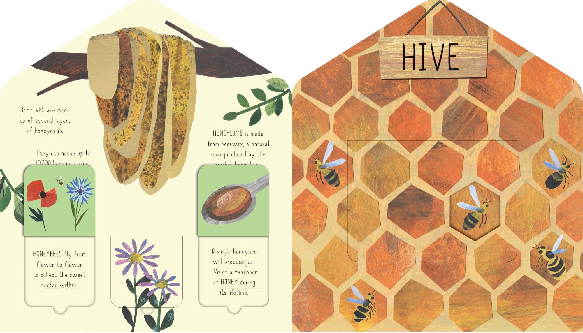 Animal Homes | Kids Book - Lifestory