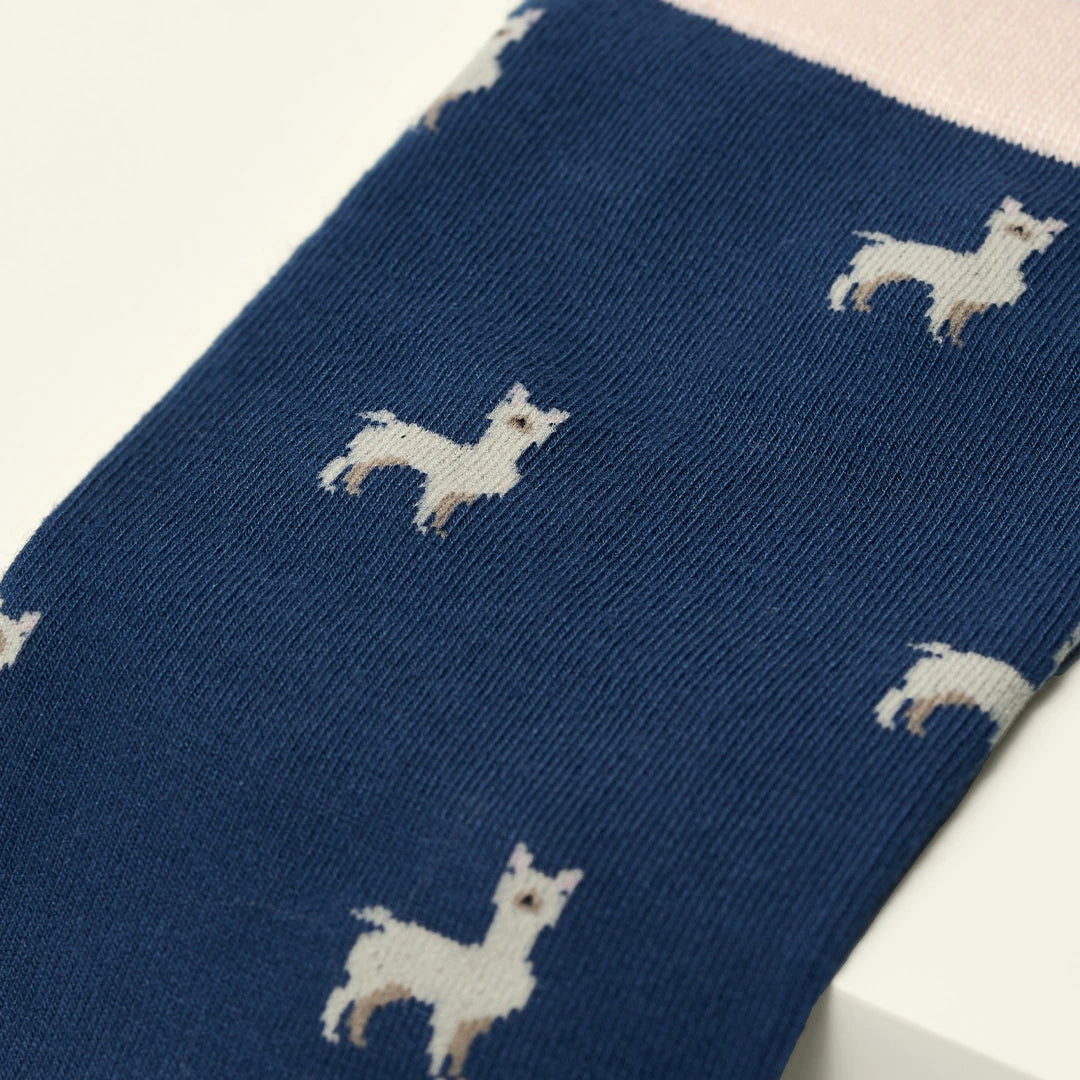 KOSI London The Llama Bamboo Socks (UK 3-8) on a white background | Lifestory