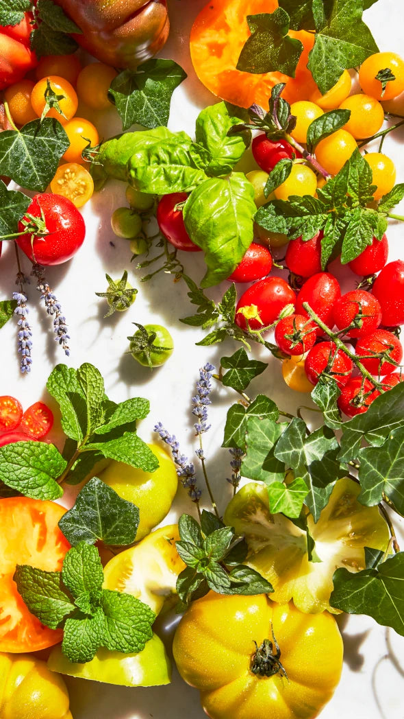 Tomato Candle | 60 Hour Burn Time | by Malin+Goetz - Lifestory