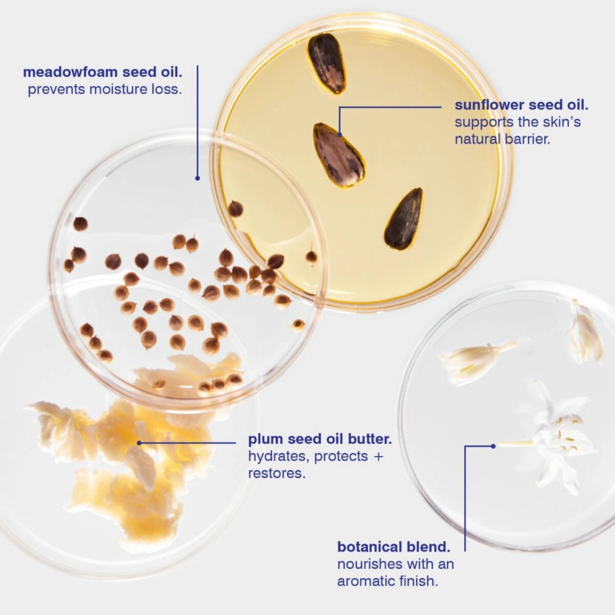 All-Purpose Moisture Balm by Malin+Goetz - Lifestory