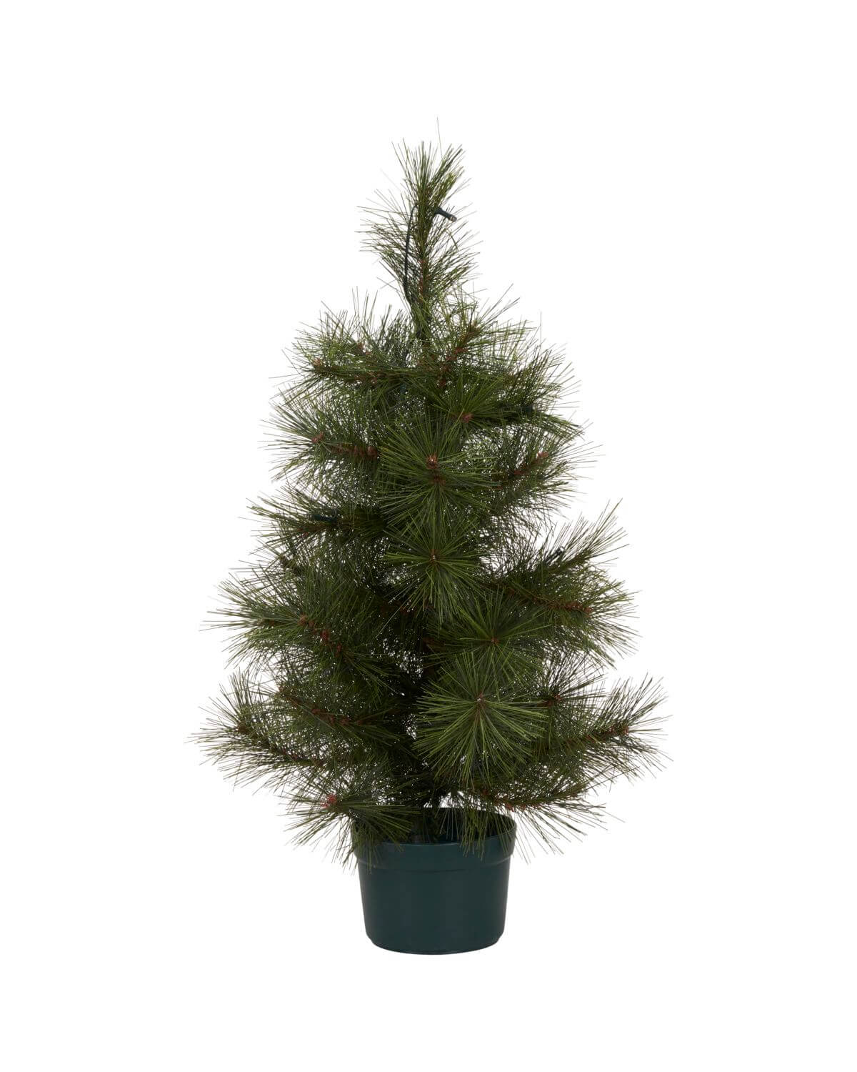 Pinus - Christmas Tree with LED Lights | 60cm | by House Doctor - Lifestory