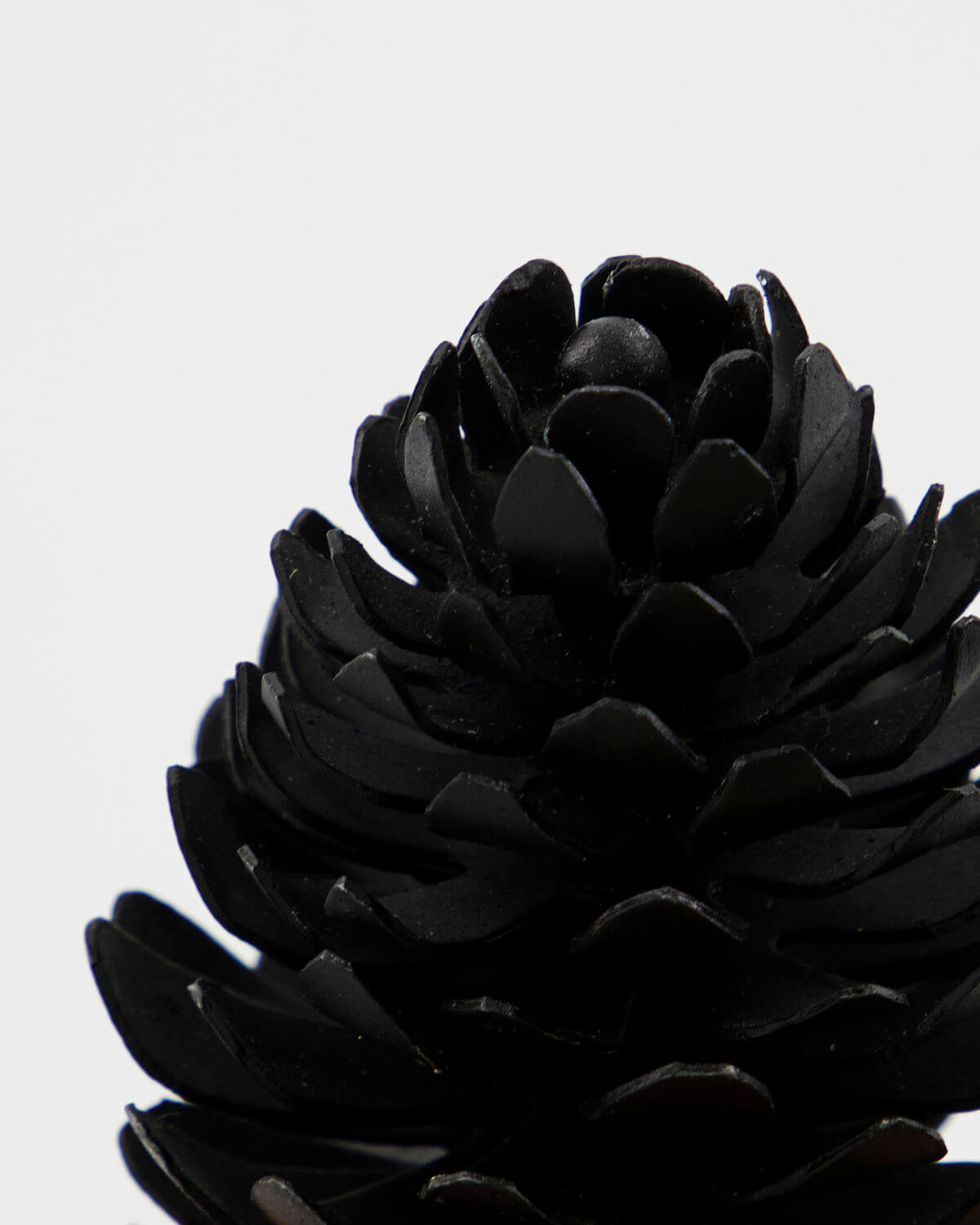 Place Card Holder - Pinus | Black Antique | by House Doctor - Lifestory