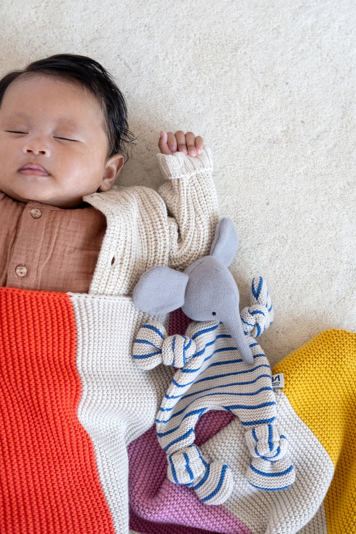 Sophie Home Dog Comforter Cuddle Cloth in Cobalt Stripe