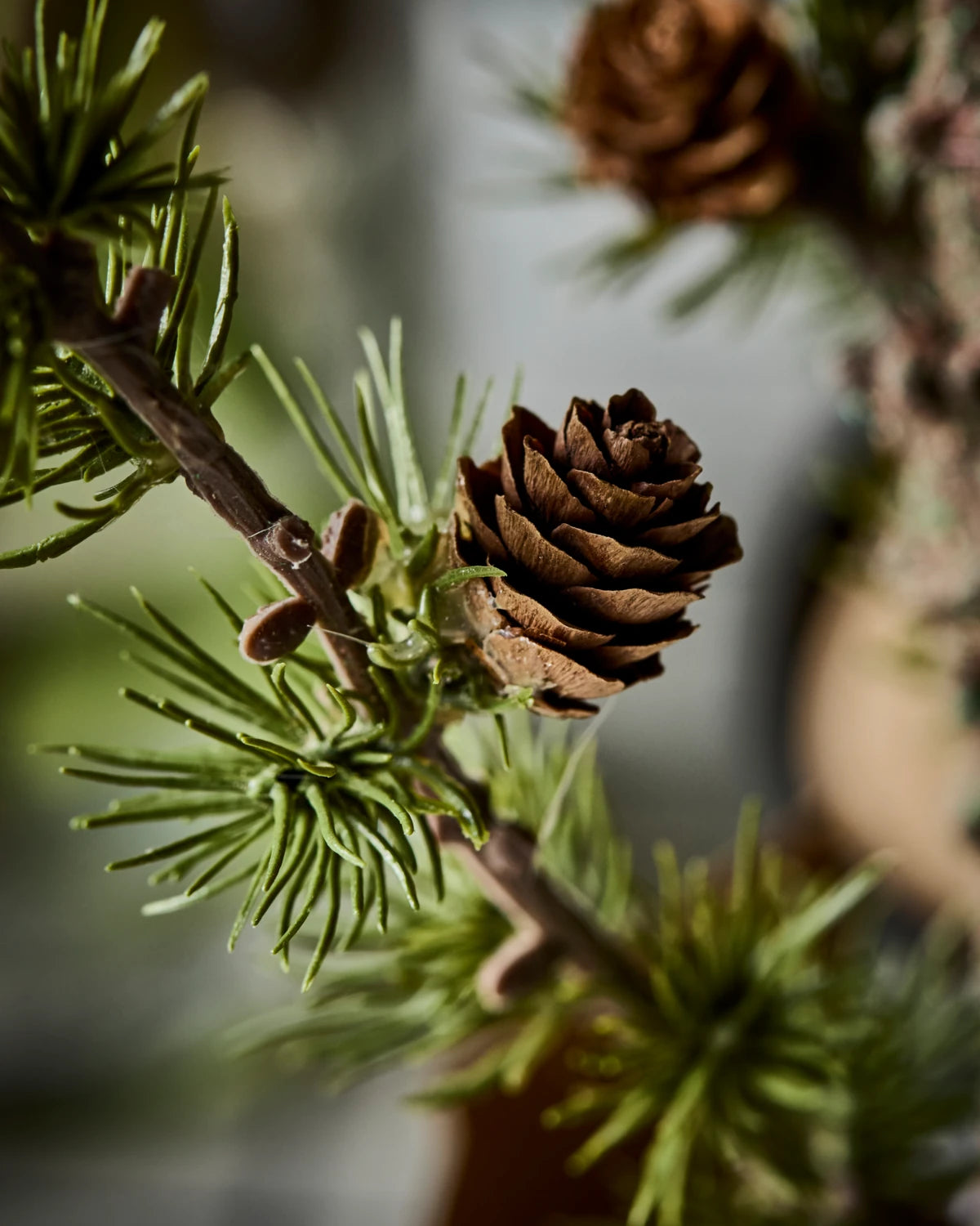 House Doctor 'Stay' Christmas Cedar Tree - close up on cones and branch