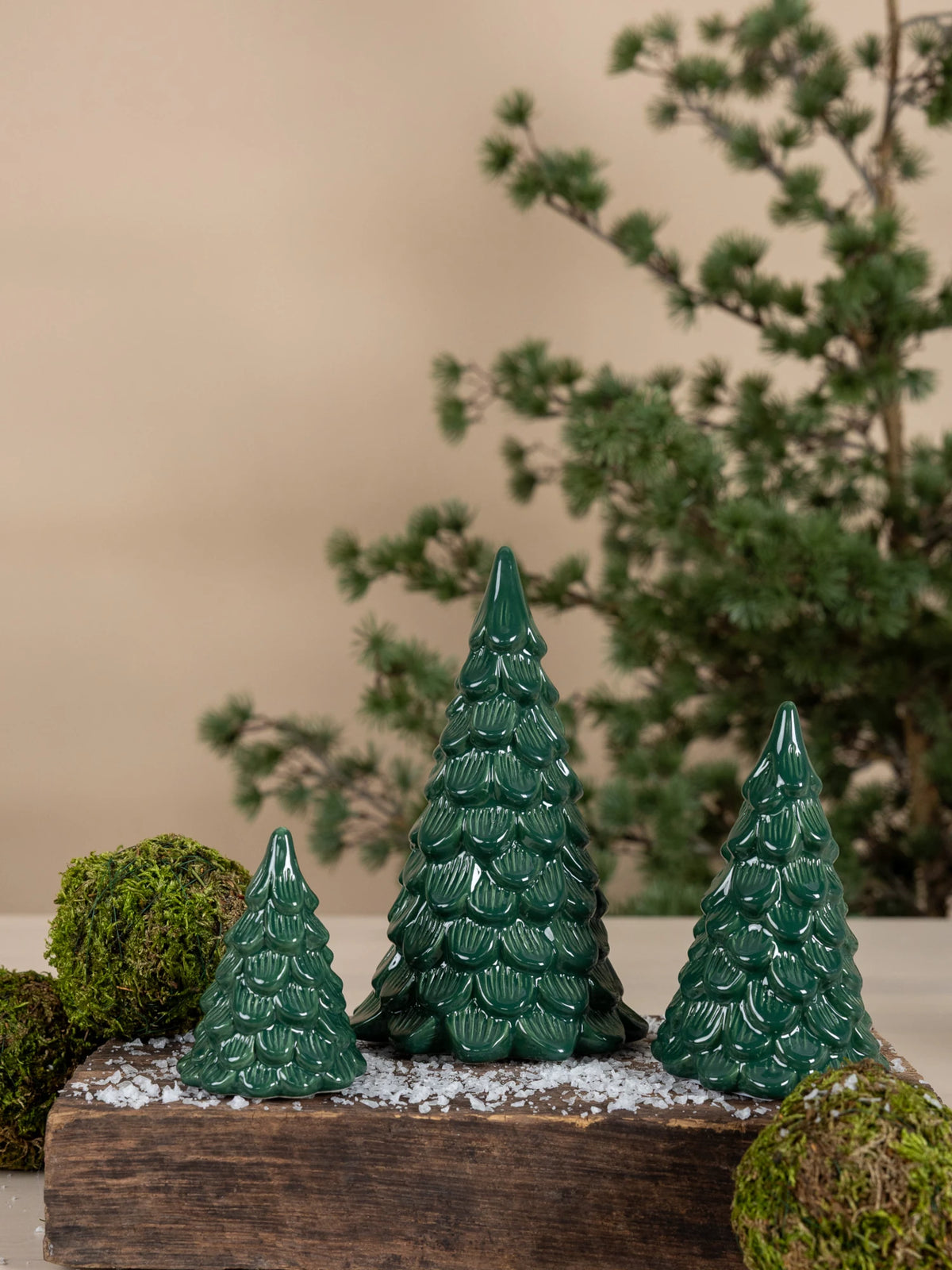 Norrskog Small Ceramic Tree family in green by Storefactory | Lifestory