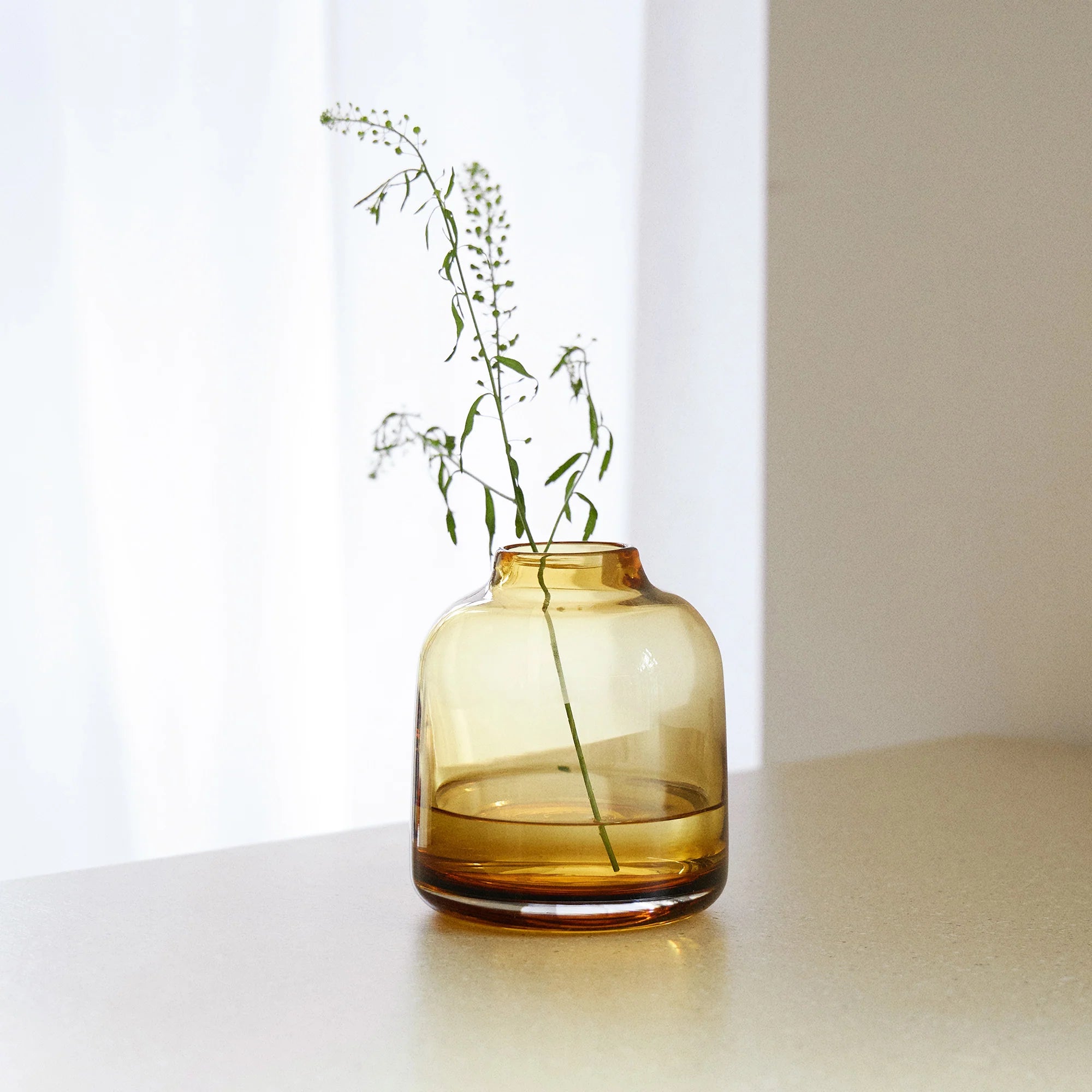 Pod Medium Glass Vase by The Conran Shop - Lifestory