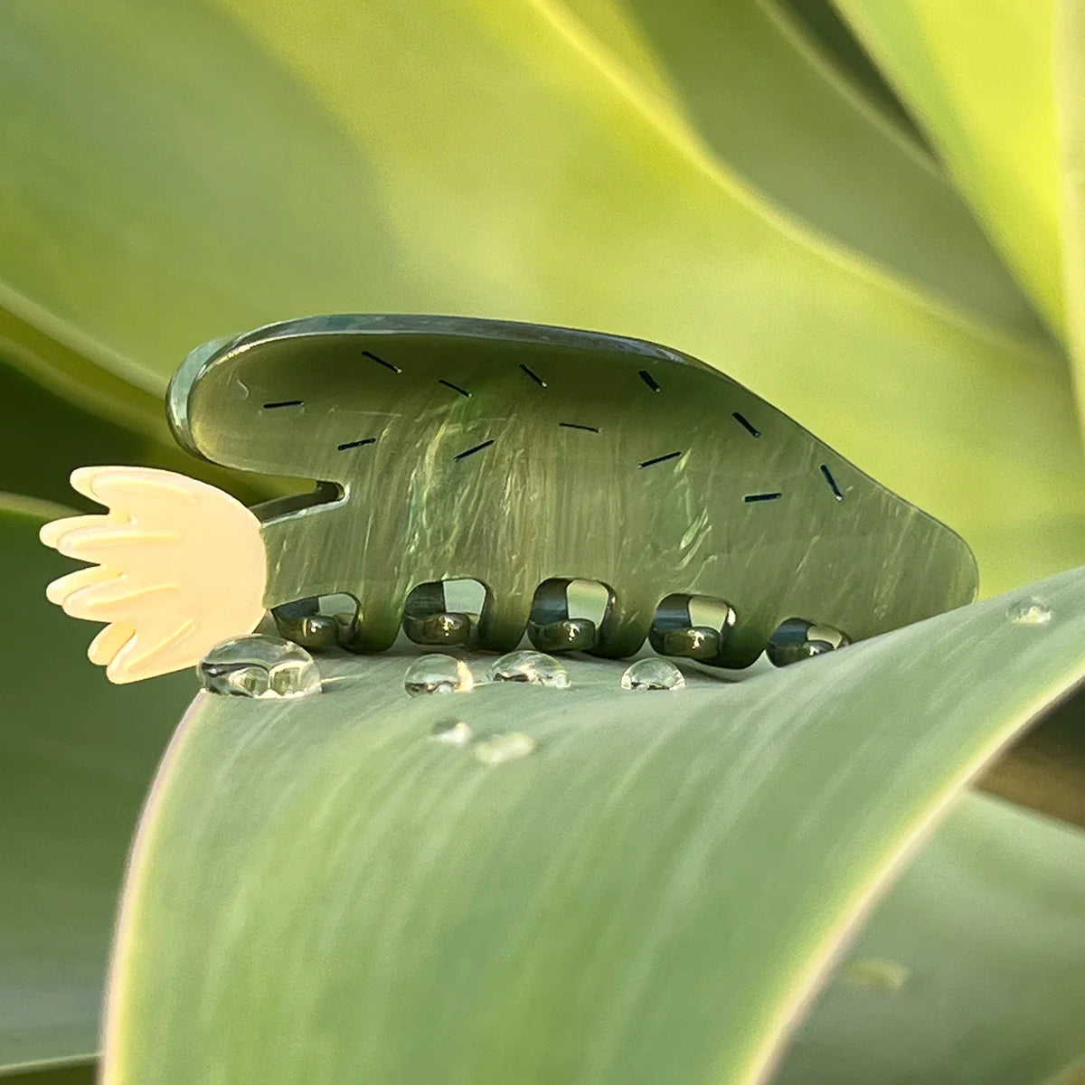 Winona Irene Desert Bloom Succulent Acetate Hair Claw - Lifestory