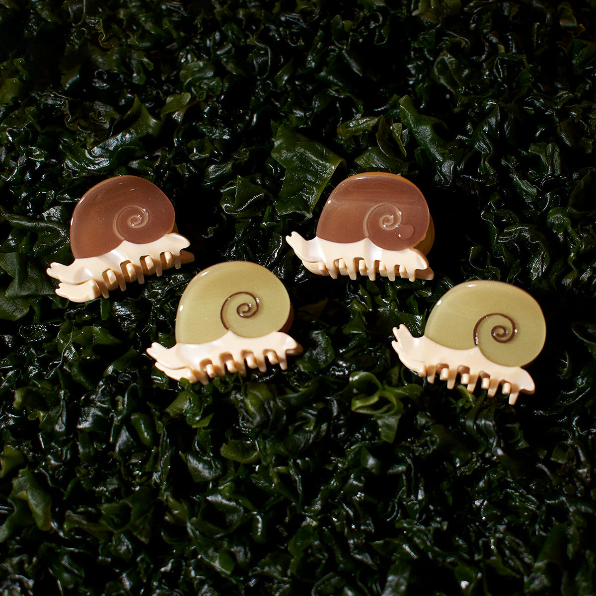 Winona Irene Mini Snail Acetate Hair Claw