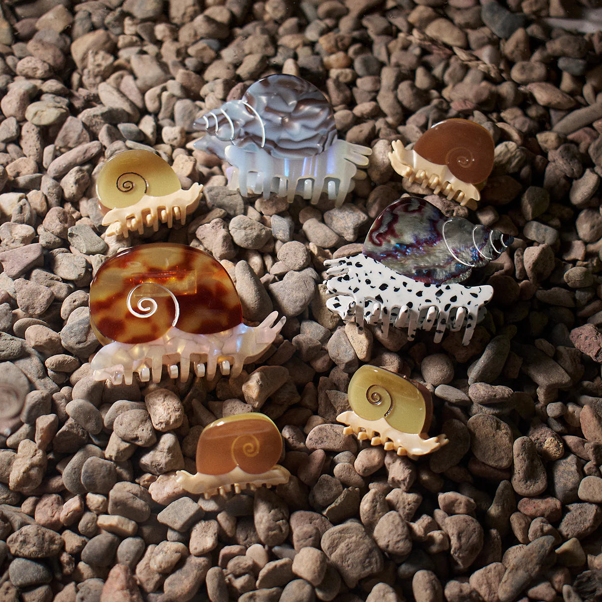 Winona Irene Sea Snail Acetate Hair Claw family lying on a bed of pebbles