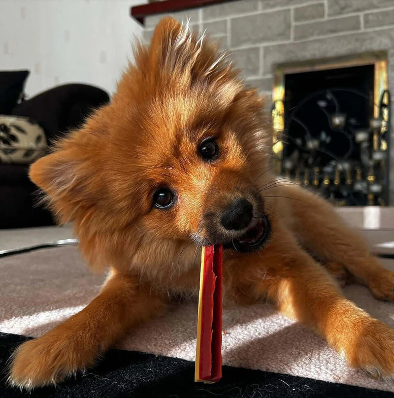 W'zis Plant Based Dog Treat - Smoky Dental Fang Chews - Lifestory