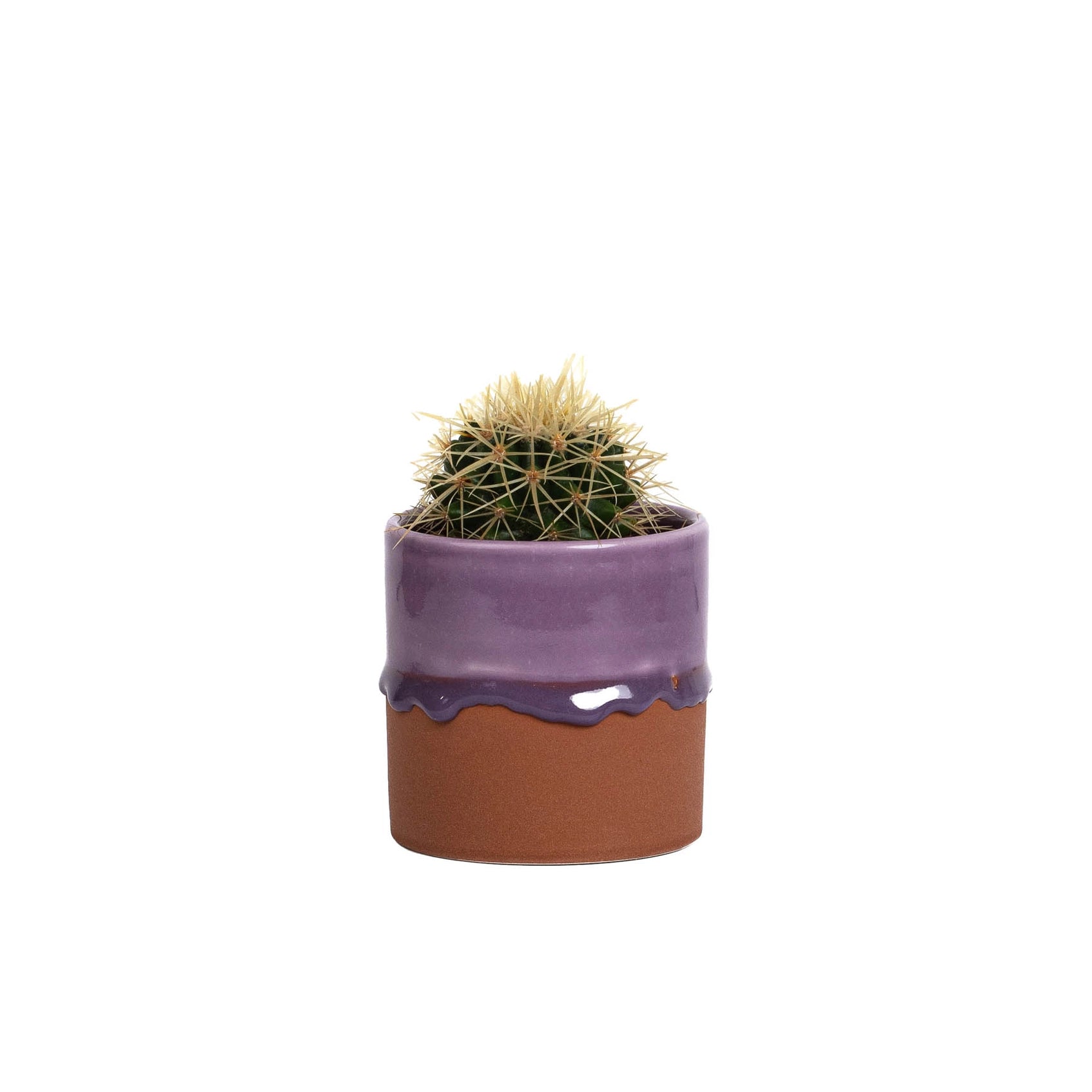YOD&CO Drip Ceramic Planter Small - Lifestory
