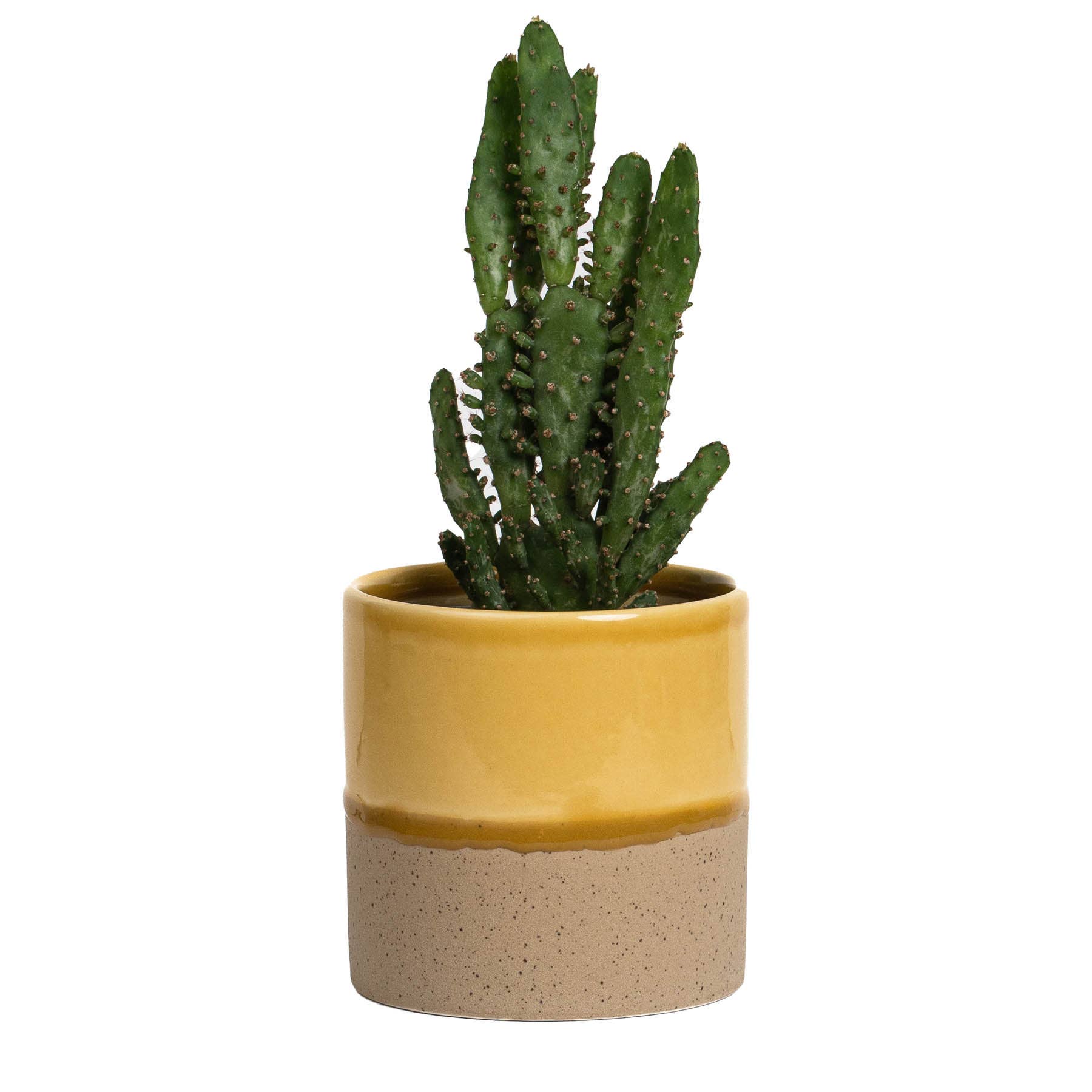 YOD&CO Drip Ceramic Planter Medium - Lifestory