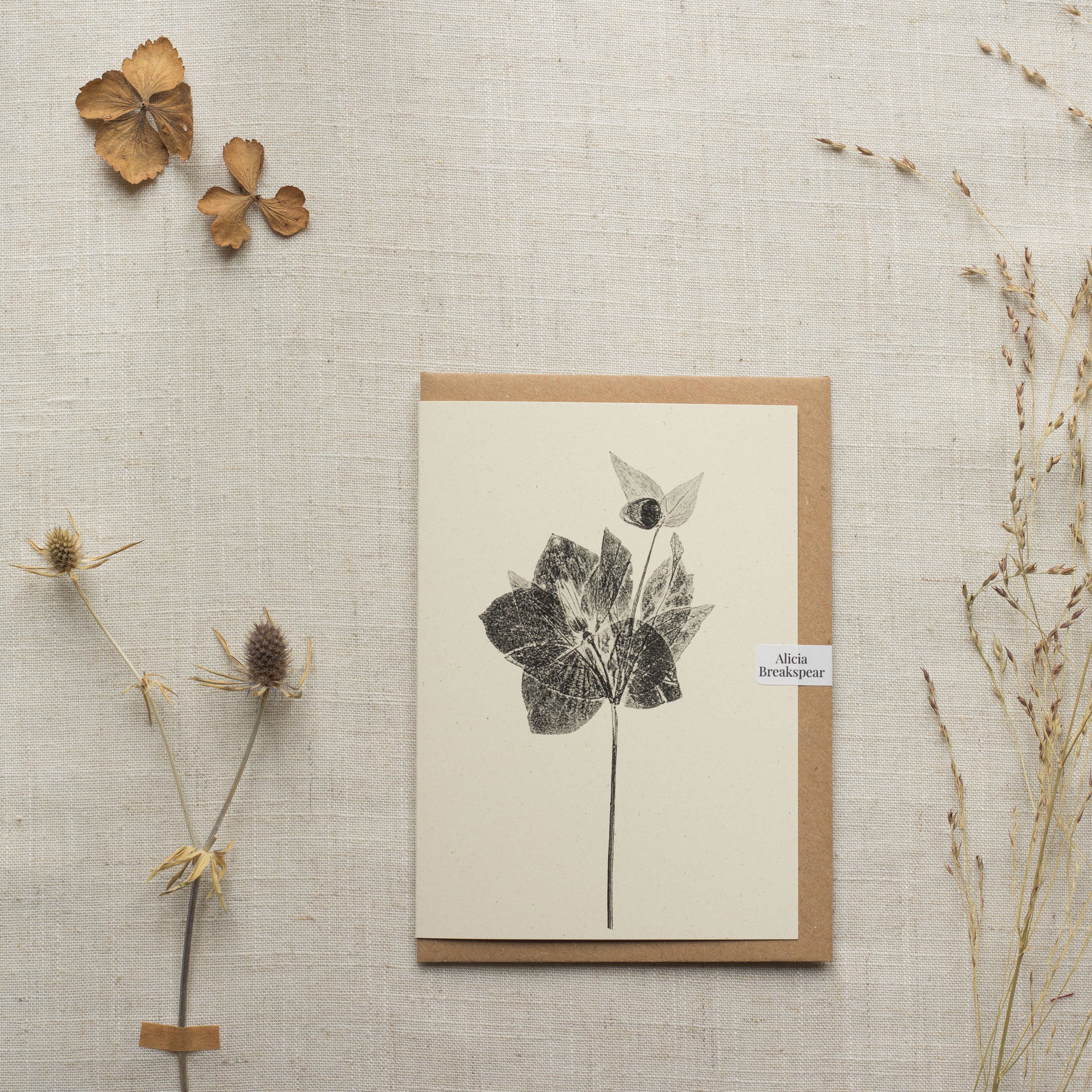 Hellebore Botanical Monoprint Card by Alicia Breakspear - Lifestory