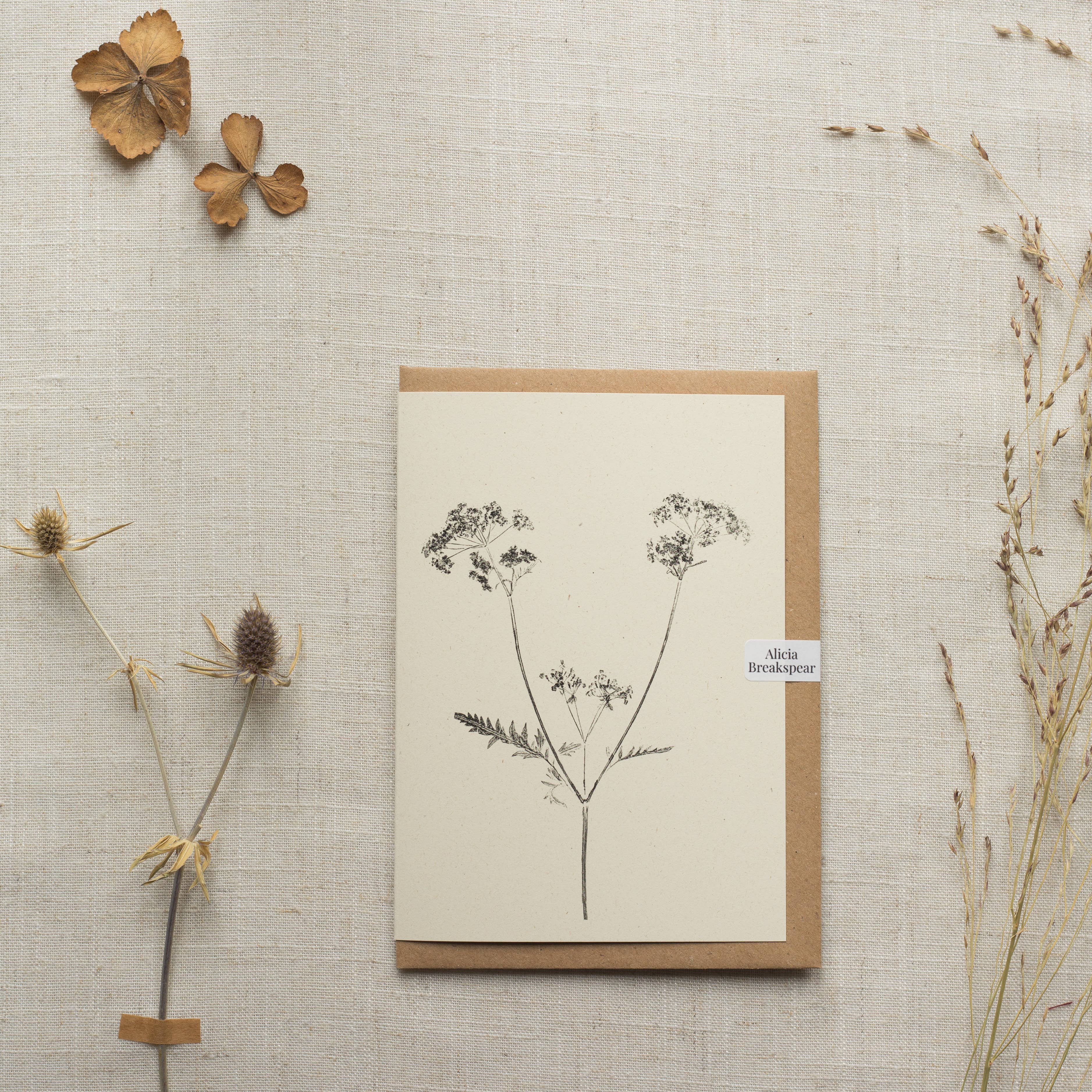 Cow Parsley Botanical Monoprint Card by Alicia Breakspear - Lifestory