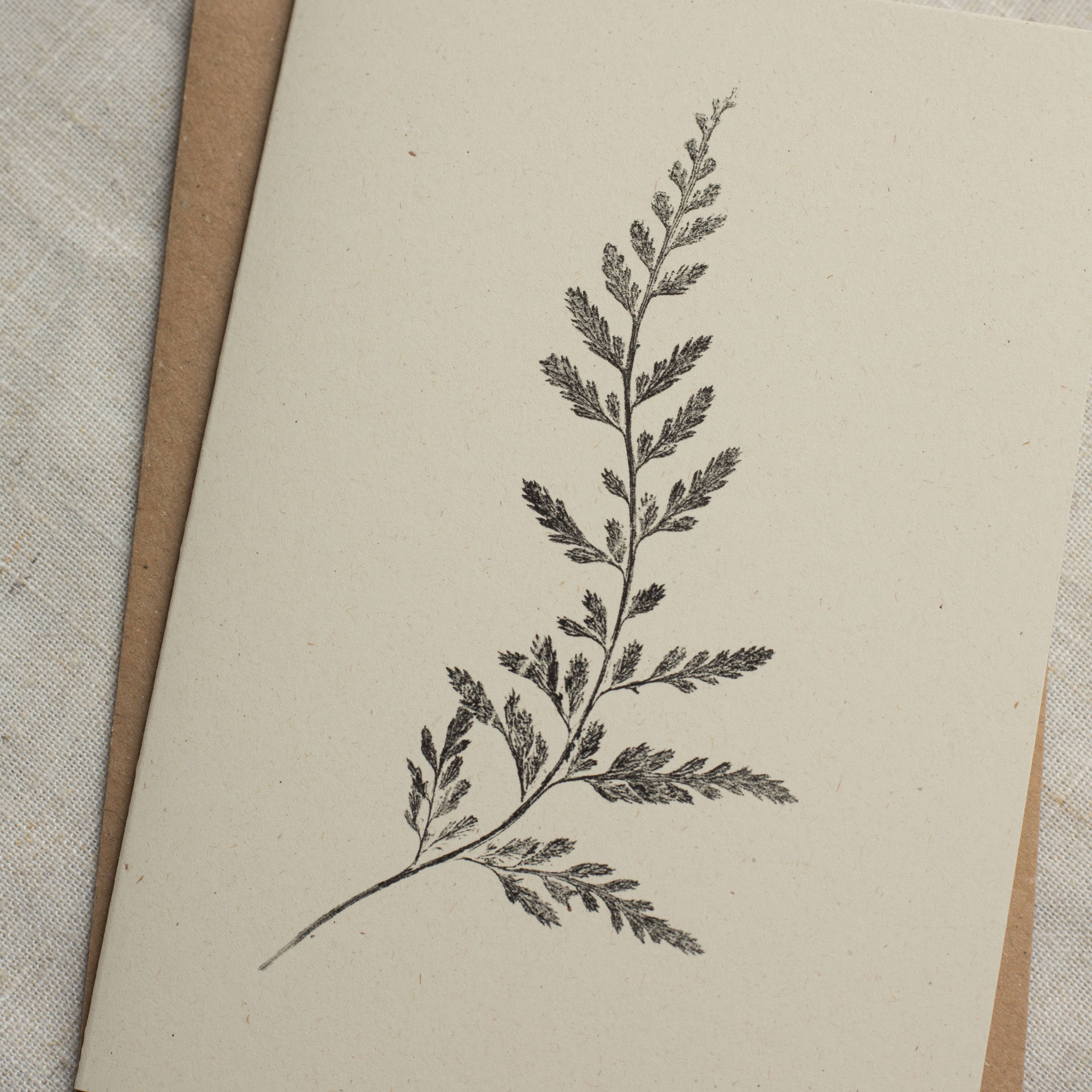 Spleenwort Fern Botanical Monoprint Card by Alicia Breakspear - Lifestory