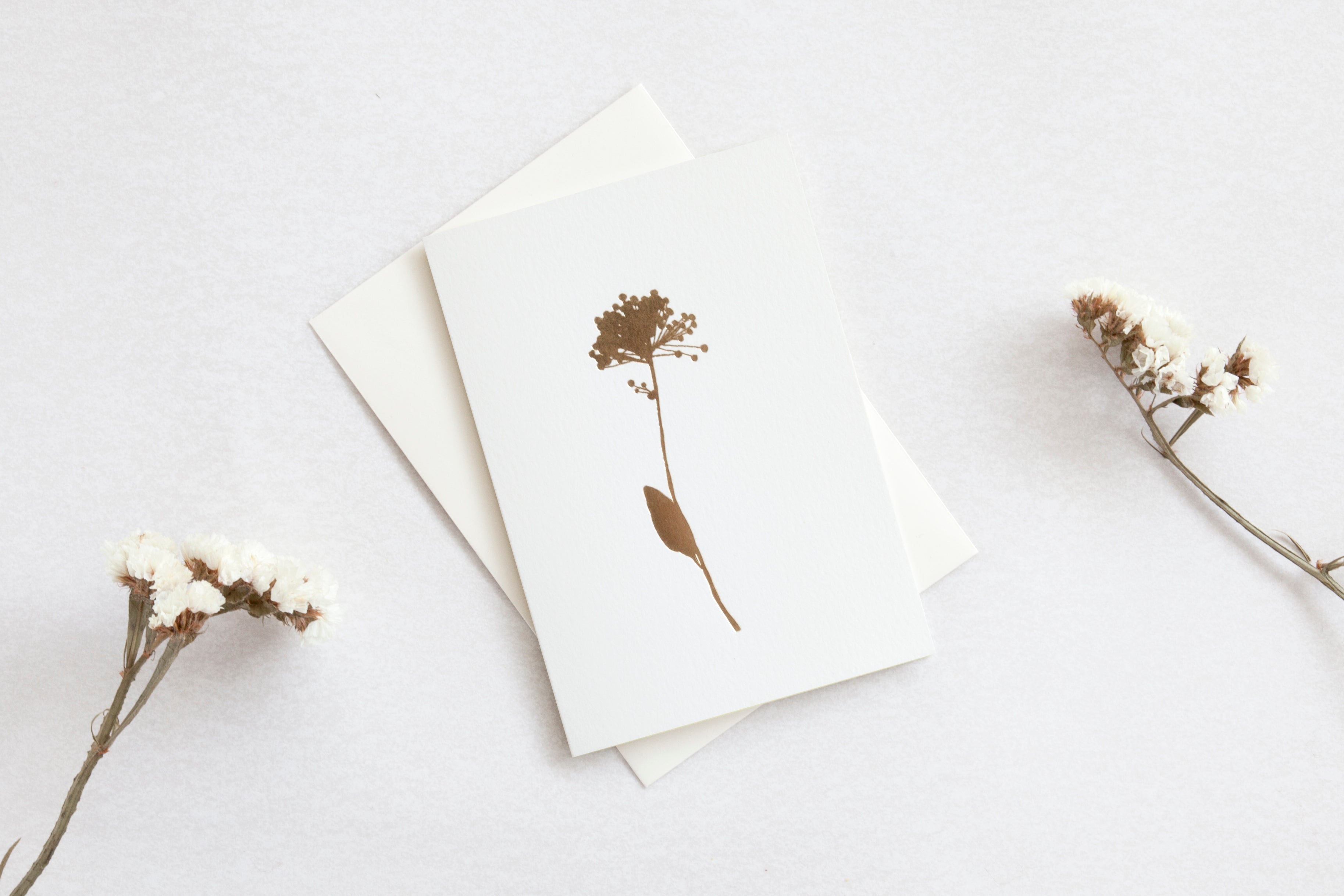 Allium Card | Brass on Ivory | Foil Blocked | by Ola - Lifestory - ola