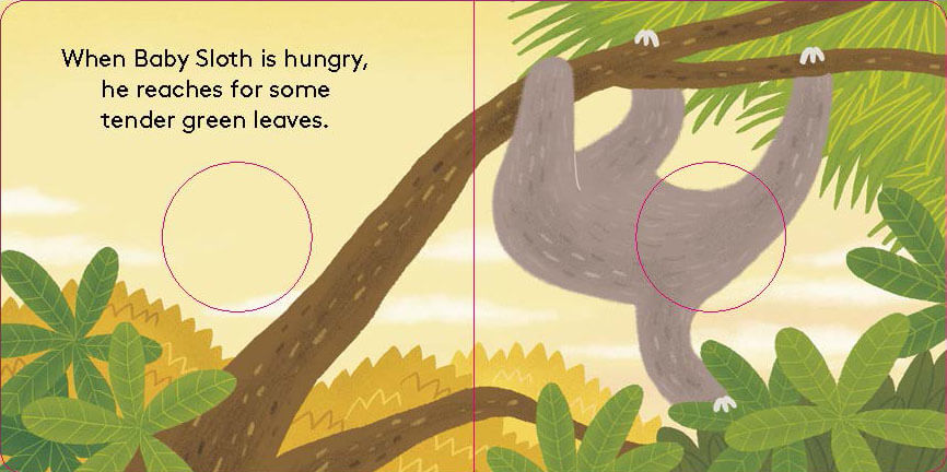 Baby Sloth | Finger Puppet Kids Book | by Yu-Hsuan Huang - Lifestory - Bookspeed