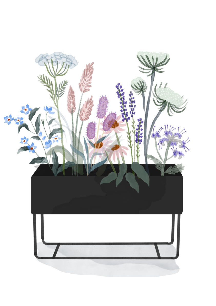 EX-DISPLAY | Plant Box & Tray Combo | Large & Low | Black | by ferm Living - Lifestory - ferm Living
