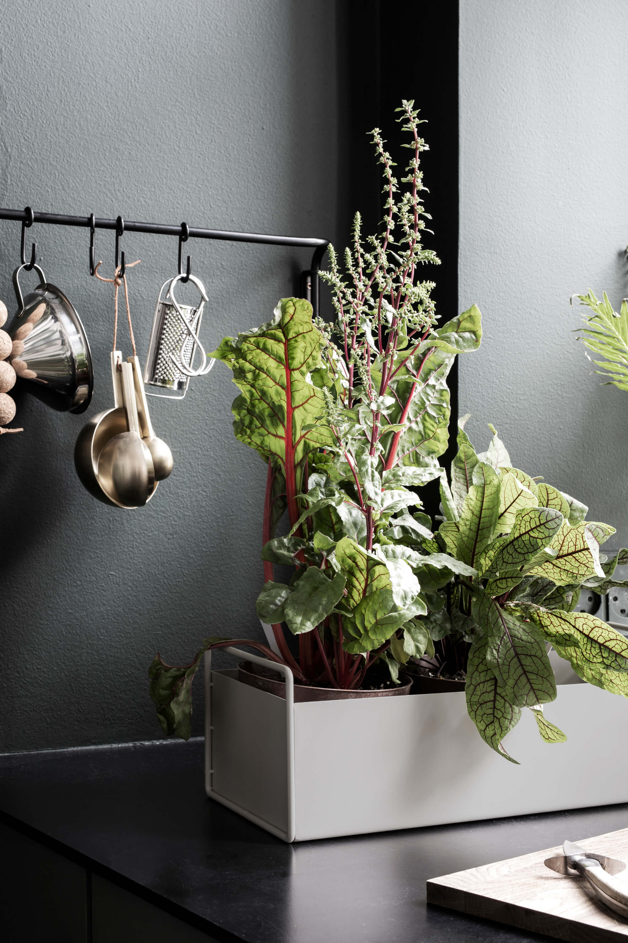Plant Box | Small | Black | by ferm Living - Lifestory - ferm Living