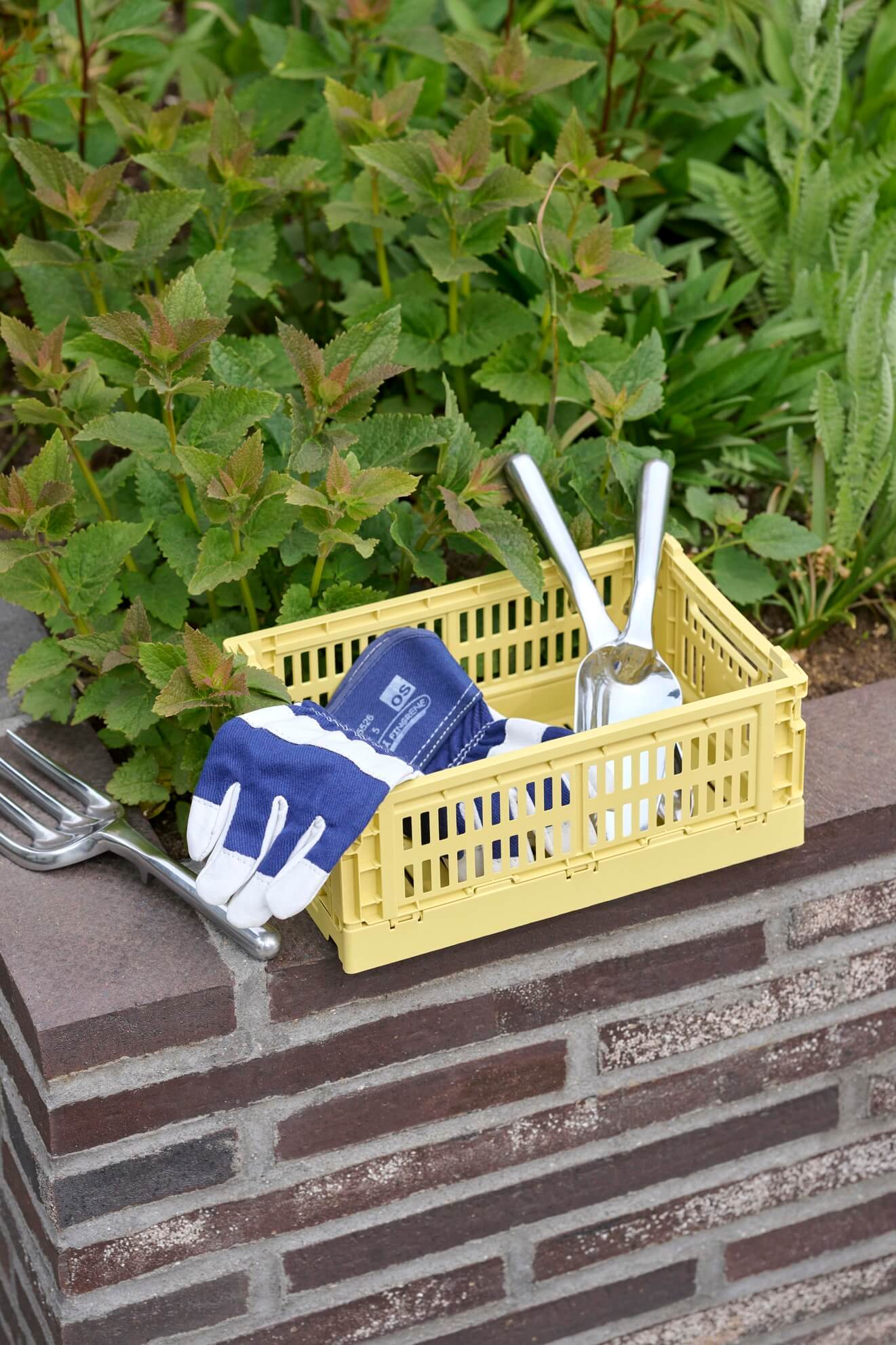 Colour Crate - Collapsible | Small | Various Colours | 100% Recycled Plastic | by HAY - Lifestory - HAY