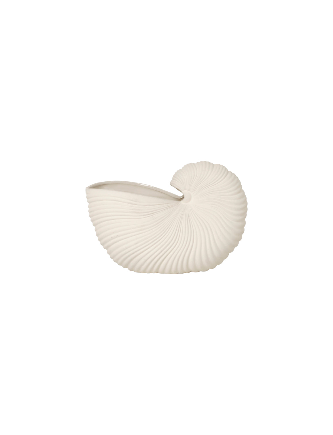 Shell pot / vase | Ceramic | off-white - Lifestory